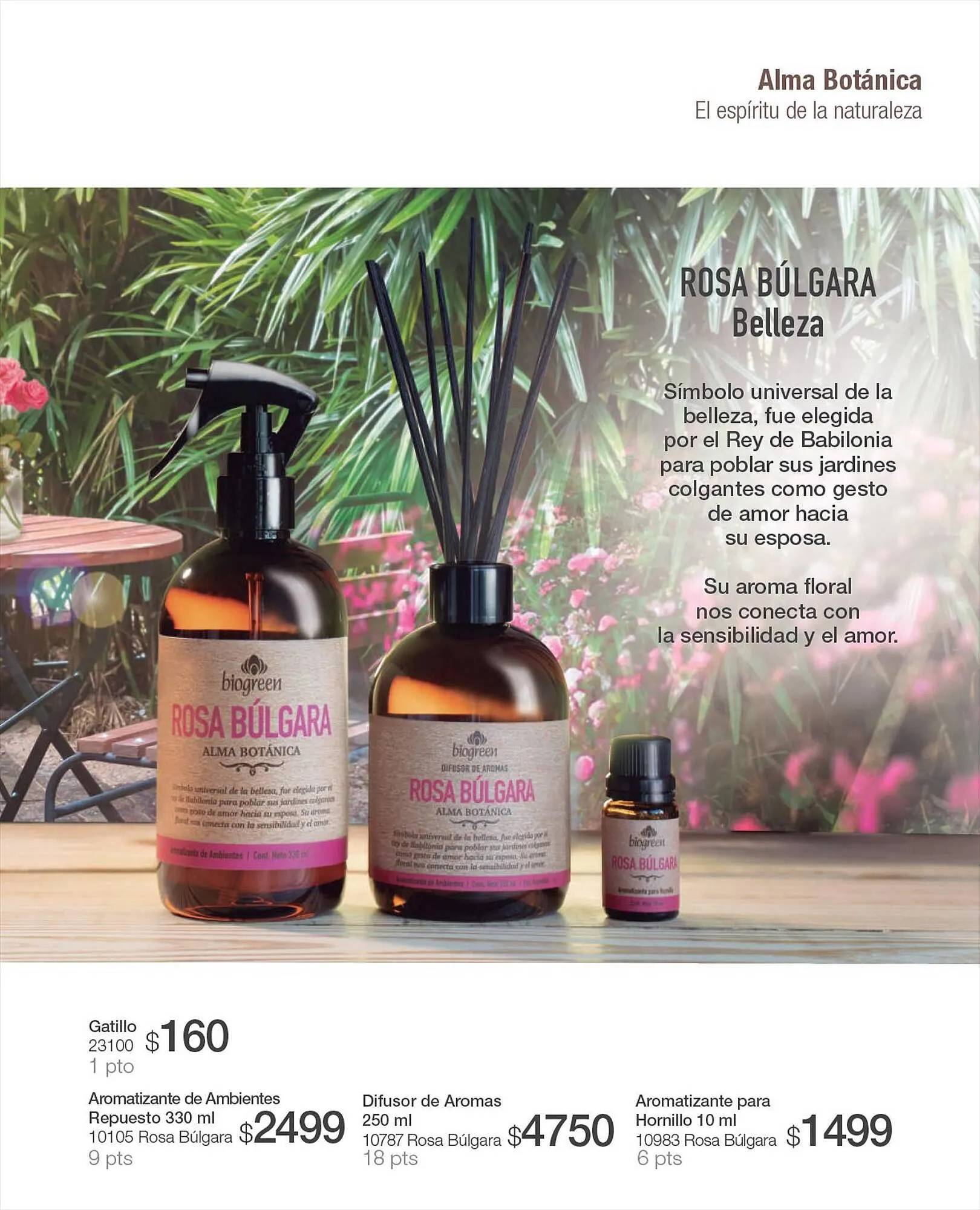 Ofertas de Catálogo Biogreen 27 de julio al 30 de julio 2023 - Página 39 del catálogo