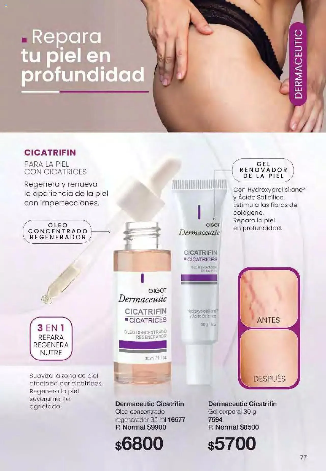 Ofertas de Gigot folleto 6 12 de marzo al 31 de diciembre 2024 - Página 77 del catálogo