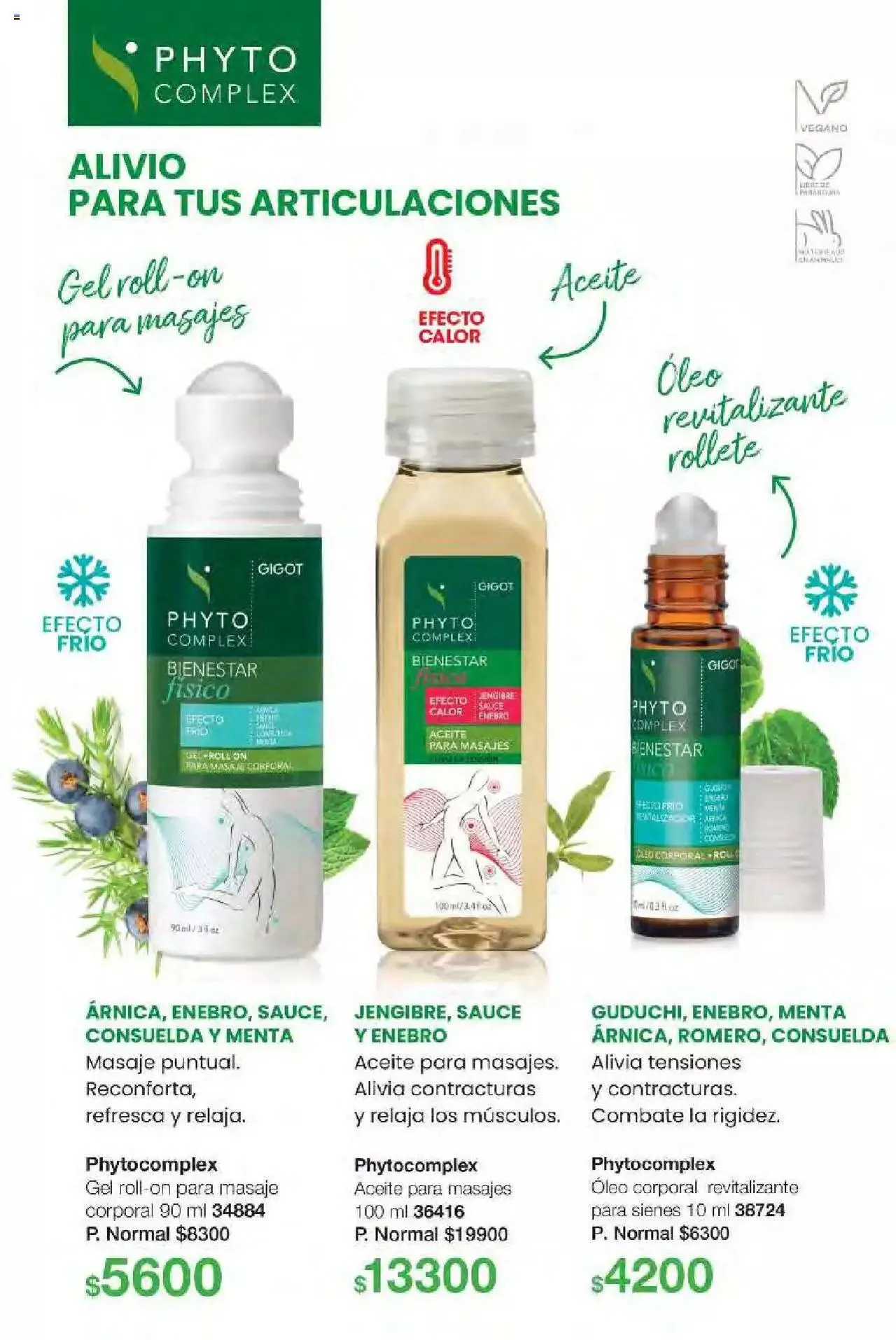 Ofertas de Gigot folleto 6 12 de marzo al 31 de diciembre 2024 - Página 96 del catálogo