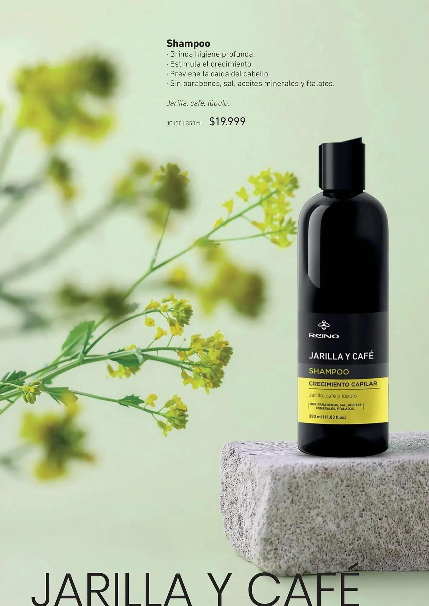 Ofertas de Catálogo Reino Cosmética 25 de marzo al 31 de marzo 2025 - Página 20 del catálogo