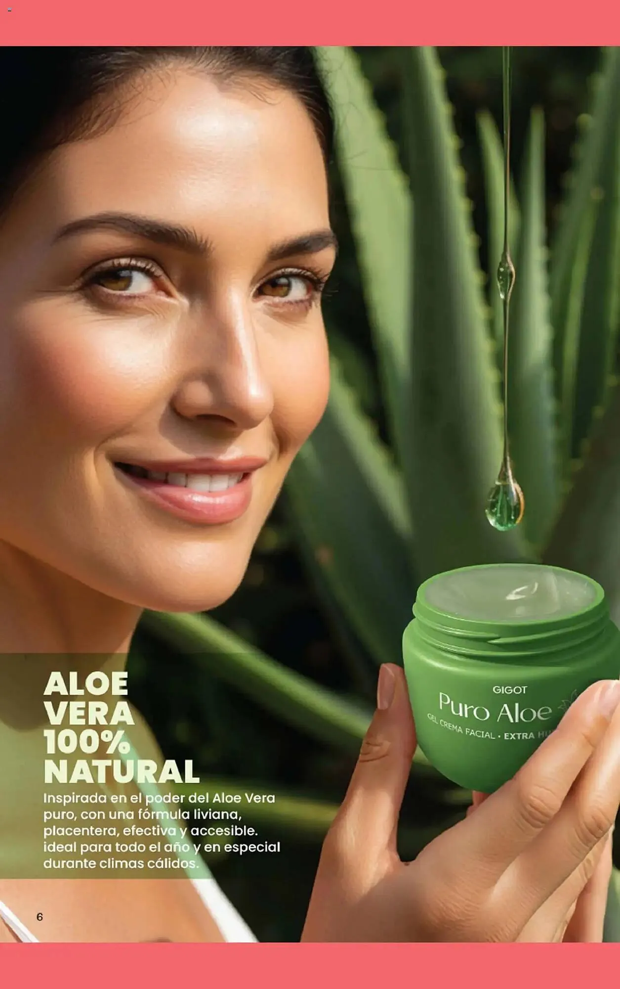 Ofertas de Folleto Gigot 19 de noviembre al 31 de enero 2026 - Página 12 del catálogo