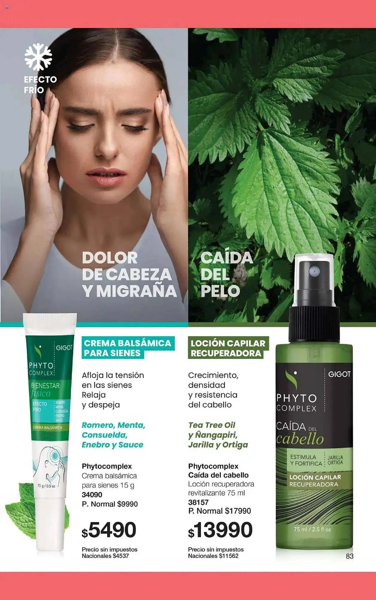 Ofertas de Folleto Gigot 1 de octubre al 31 de octubre 2025 - Página 45 del catálogo