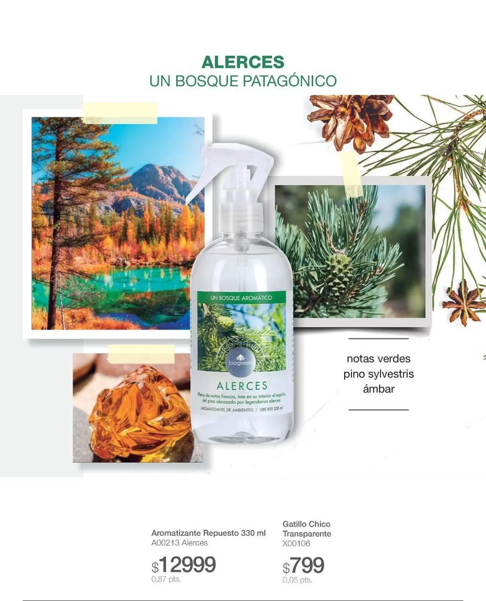 Ofertas de Catálogo Biogreen 28 de julio al 10 de agosto 2025 - Página 26 del catálogo