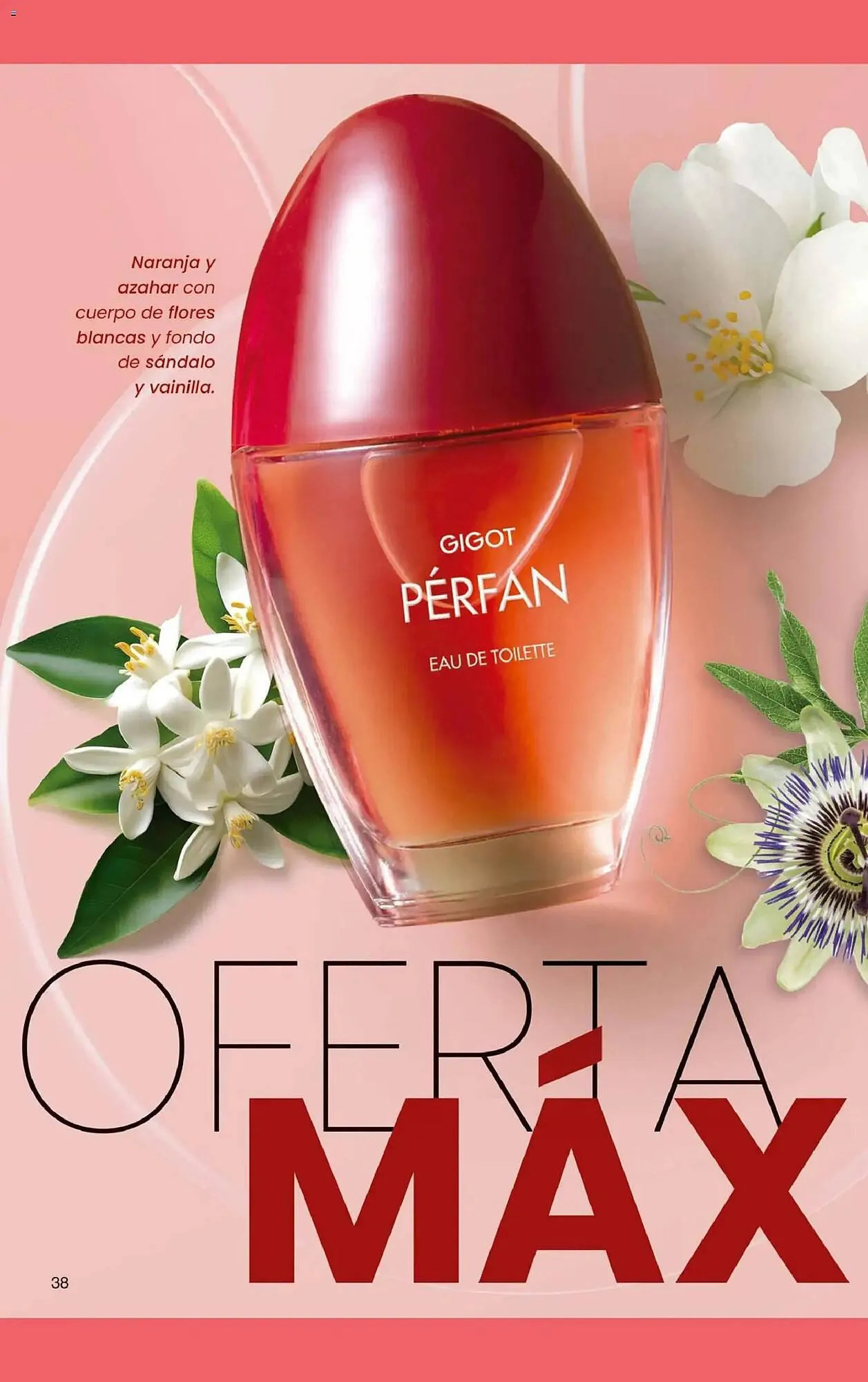 Ofertas de Folleto Gigot 1 de abril al 1 de mayo 2026 - Página 62 del catálogo