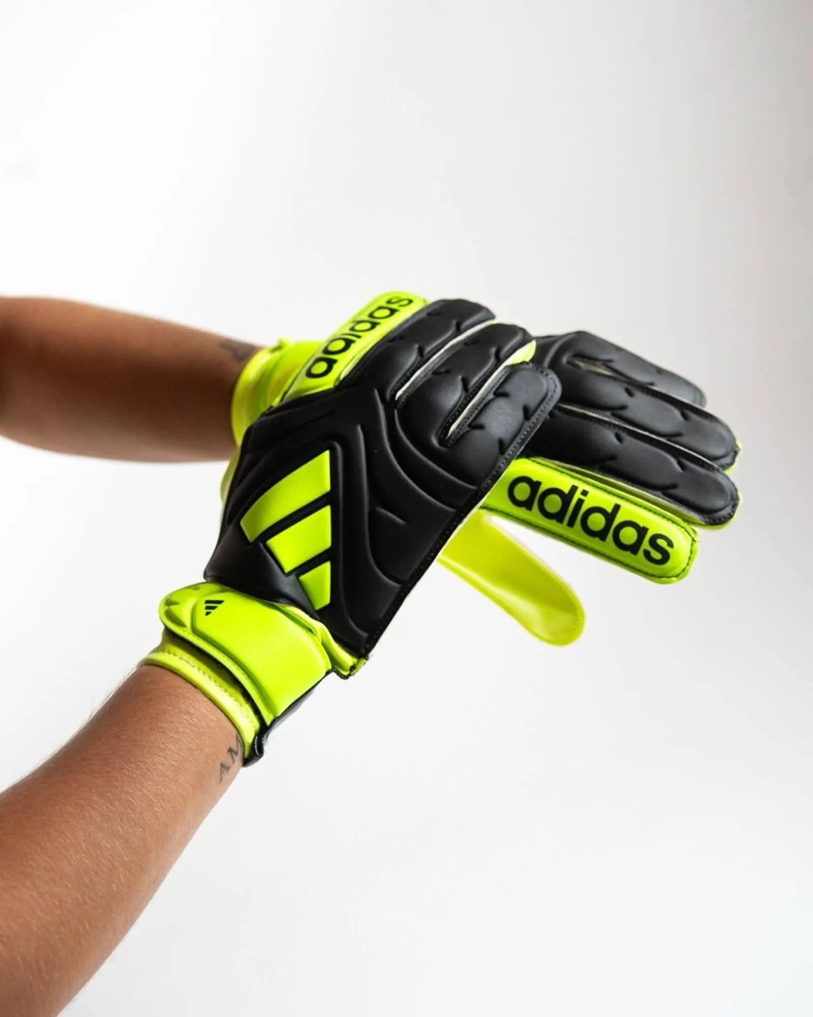 Ofertas de Catálogo Sportline 15 de enero al 15 de enero 2026 - Página 2 del catálogo