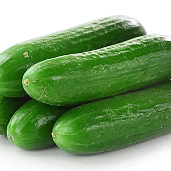 PEPINO XKG