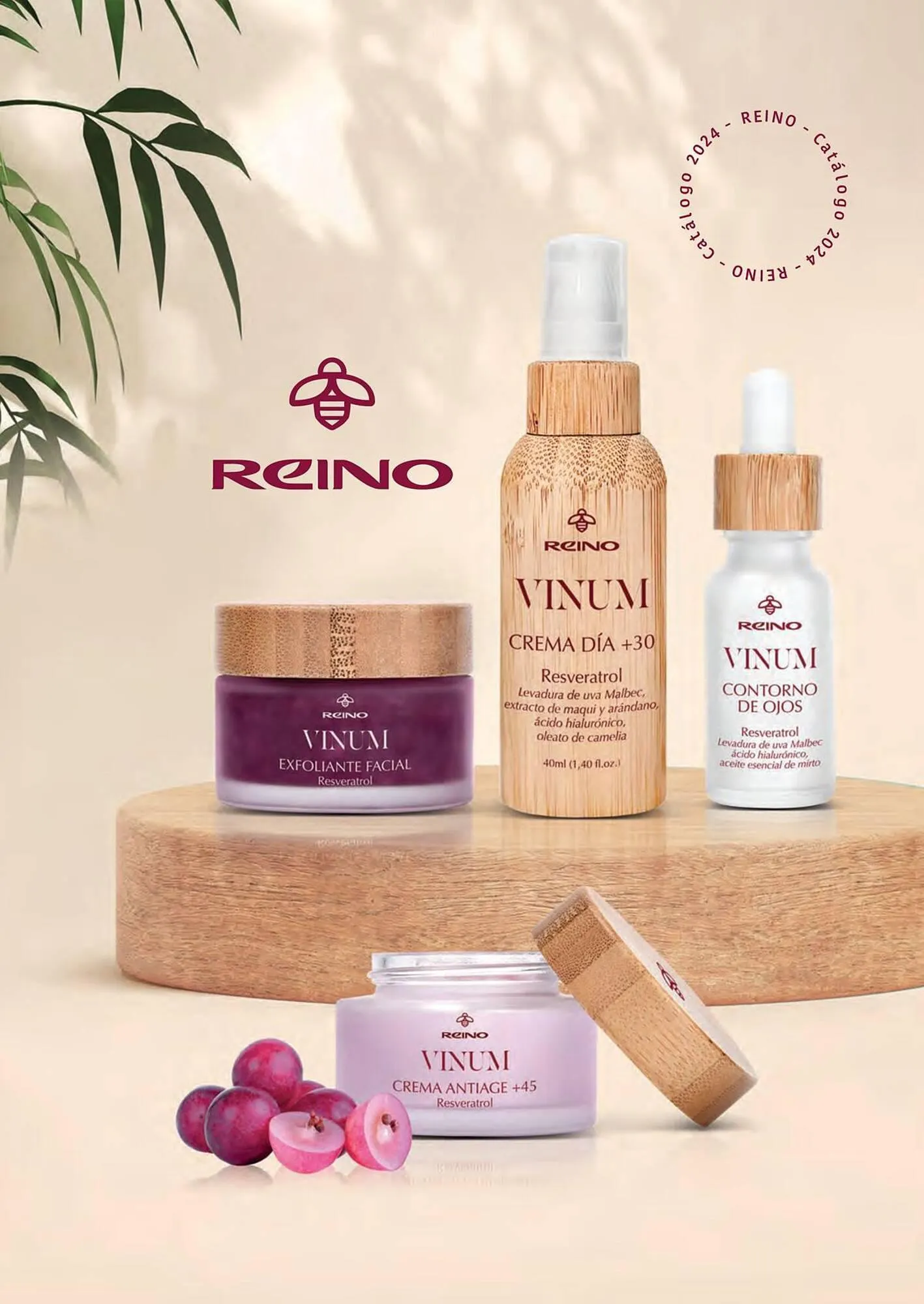 Ofertas de Catálogo Reino Cosmética 18 de diciembre al 29 de febrero 2024 - Página del catálogo