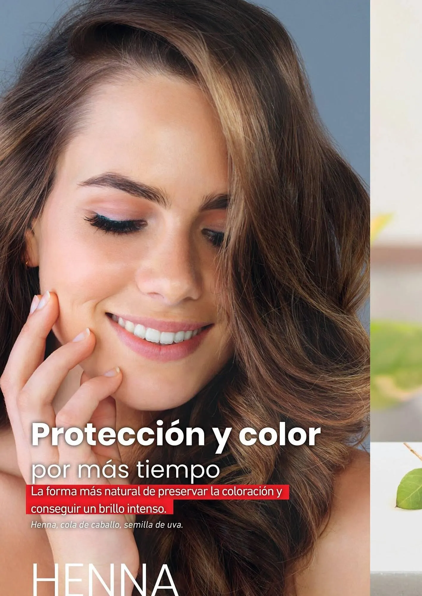 Ofertas de Catálogo Reino Cosmética 25 de marzo al 31 de marzo 2025 - Página 24 del catálogo