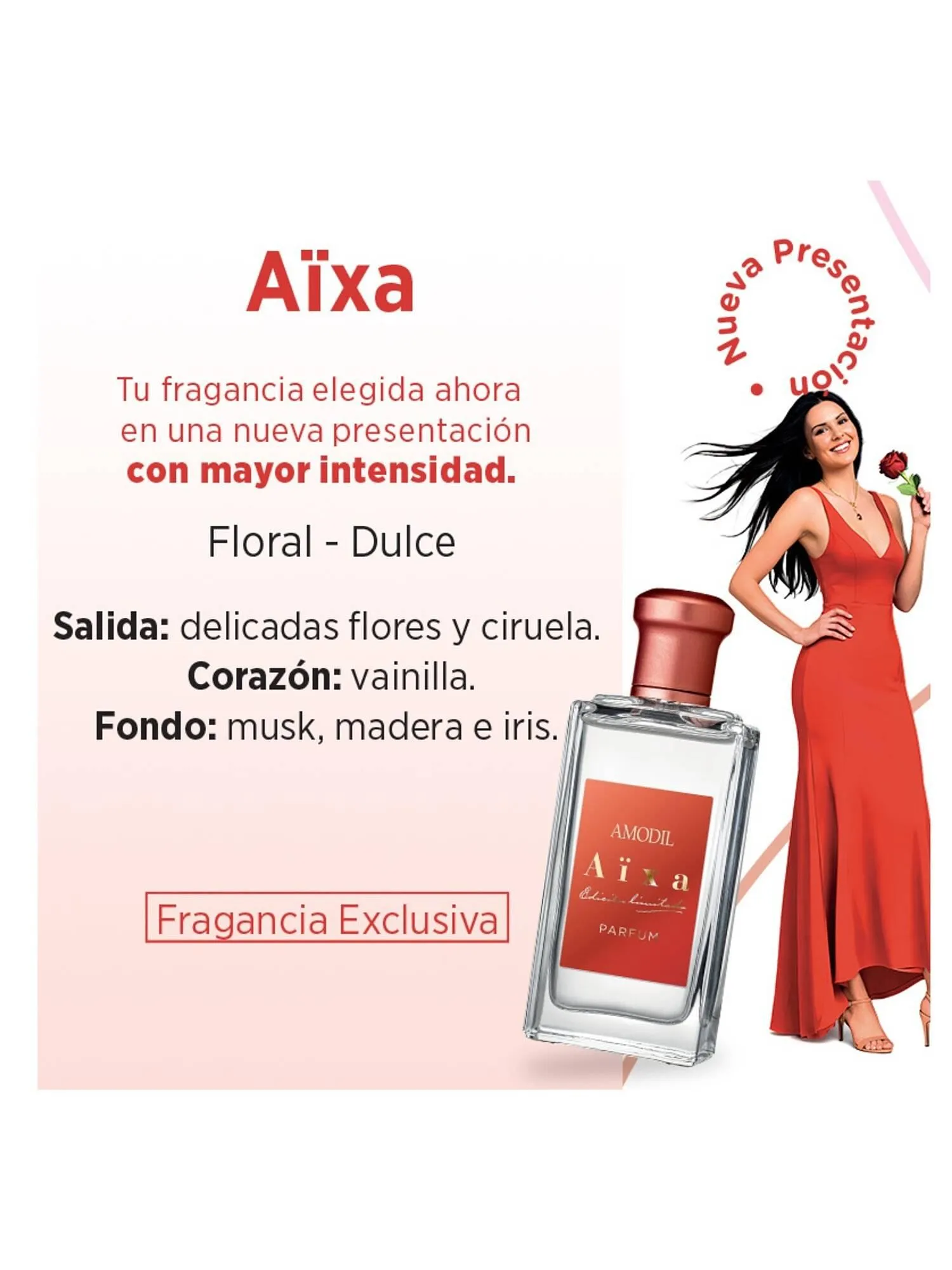 Ofertas de Catálogo Amodil 21 de febrero al 31 de marzo 2026 - Página 4 del catálogo