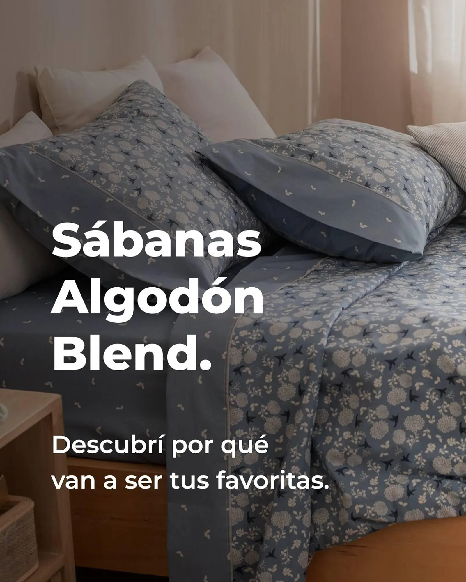 Ofertas de Catálogo Arredo 24 de mayo al 31 de mayo 2025 - Página 1 del catálogo