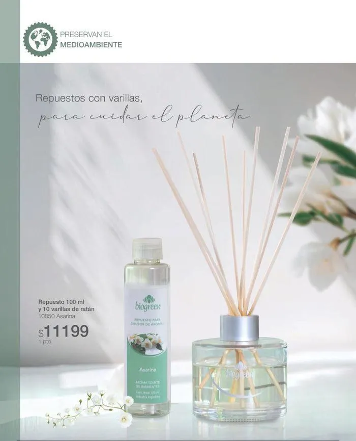 Ofertas de Catálogo de productos Biogreen! 27 de agosto al 11 de septiembre 2024 - Página 10 del catálogo
