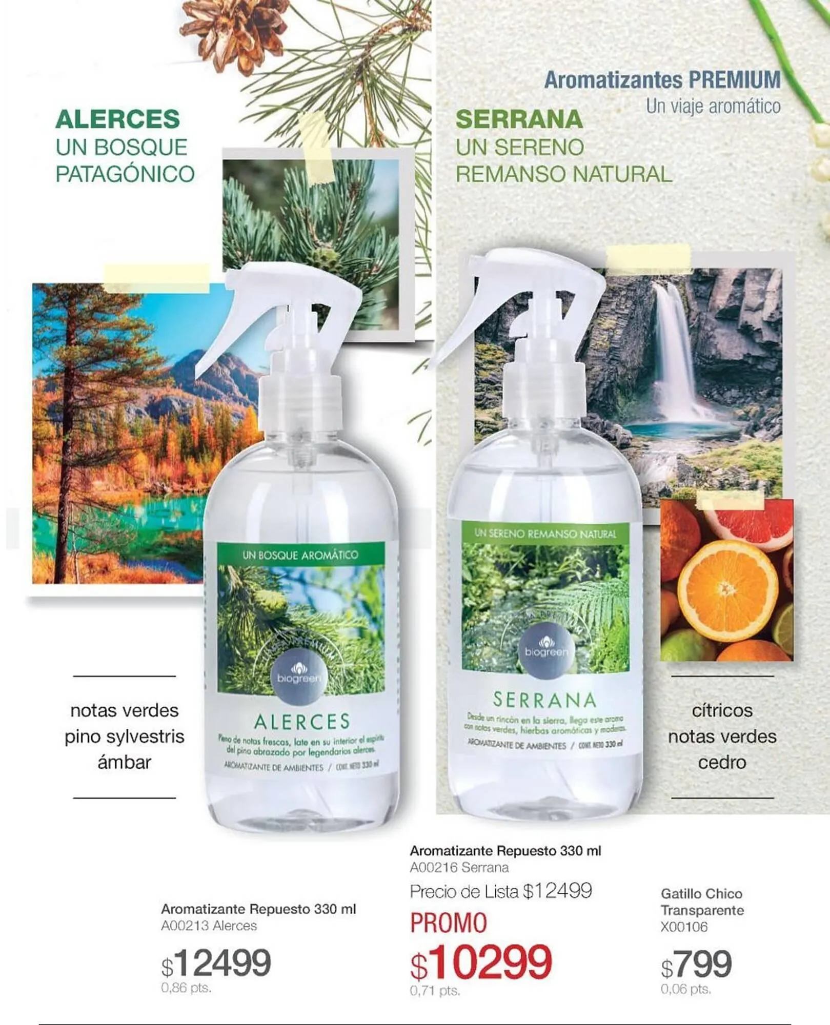 Ofertas de Catálogo Biogreen 15 de mayo al 31 de mayo 2025 - Página 21 del catálogo