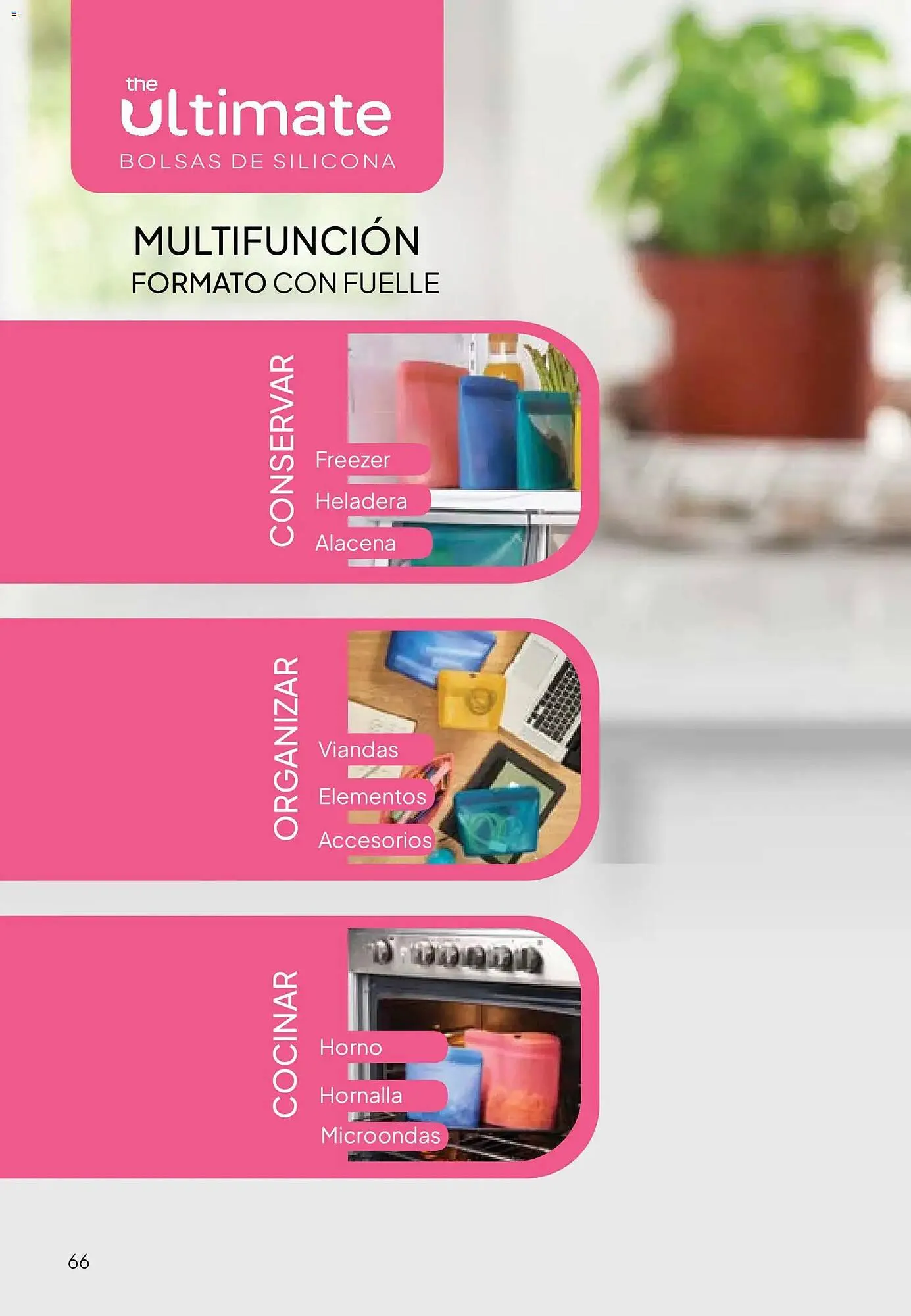 Ofertas de Folleto Tupperware 24 de noviembre al 31 de diciembre 2025 - Página 67 del catálogo