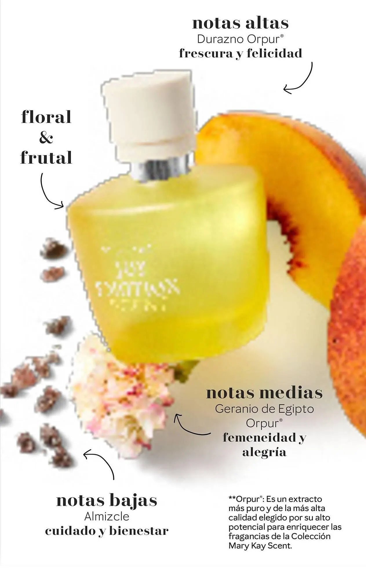 Ofertas de Catálogo Mary Kay 15 de abril al 30 de abril 2025 - Página 6 del catálogo