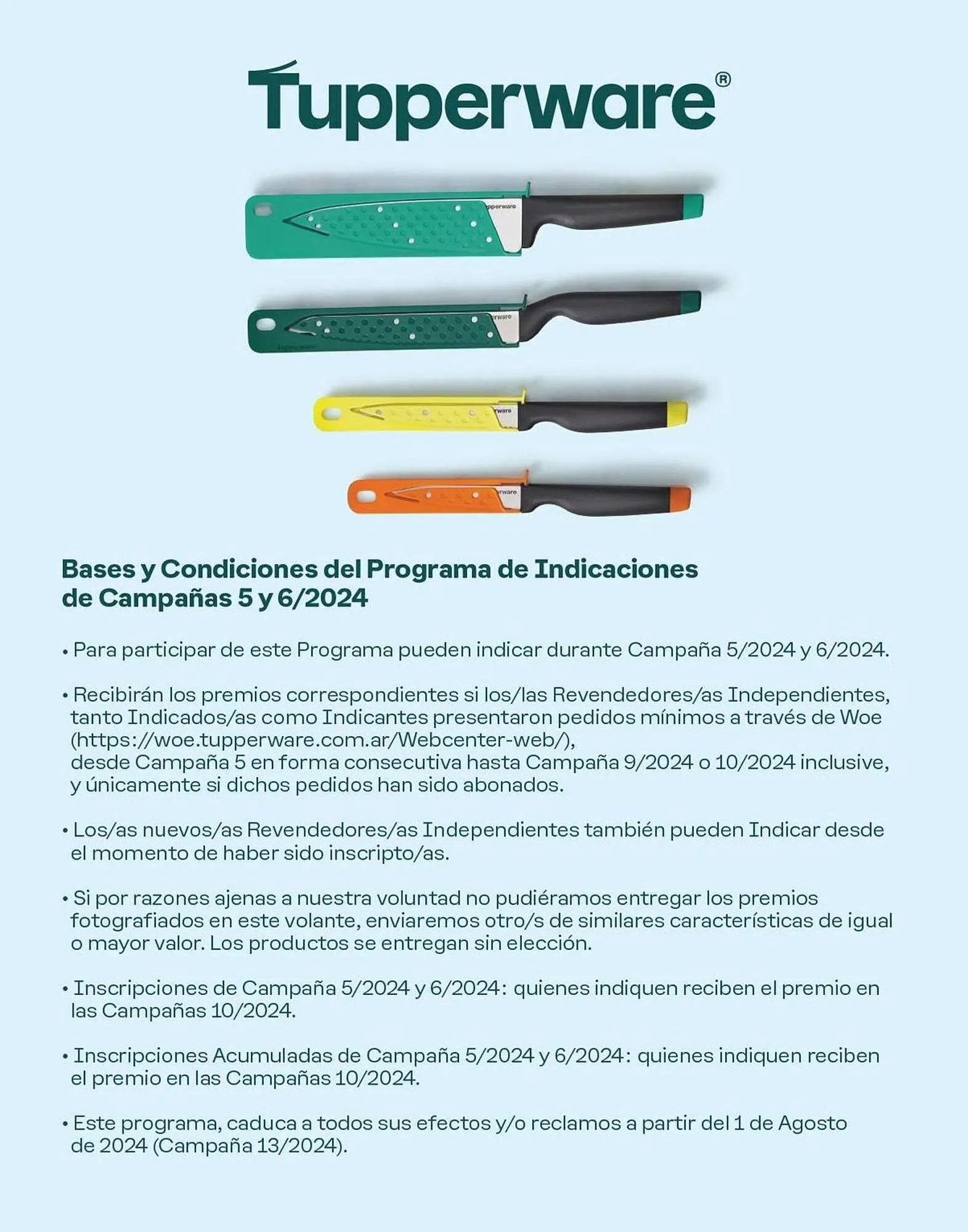 Ofertas de Catálogo Tupperware 12 de febrero al 1 de agosto 2024 - Página 4 del catálogo