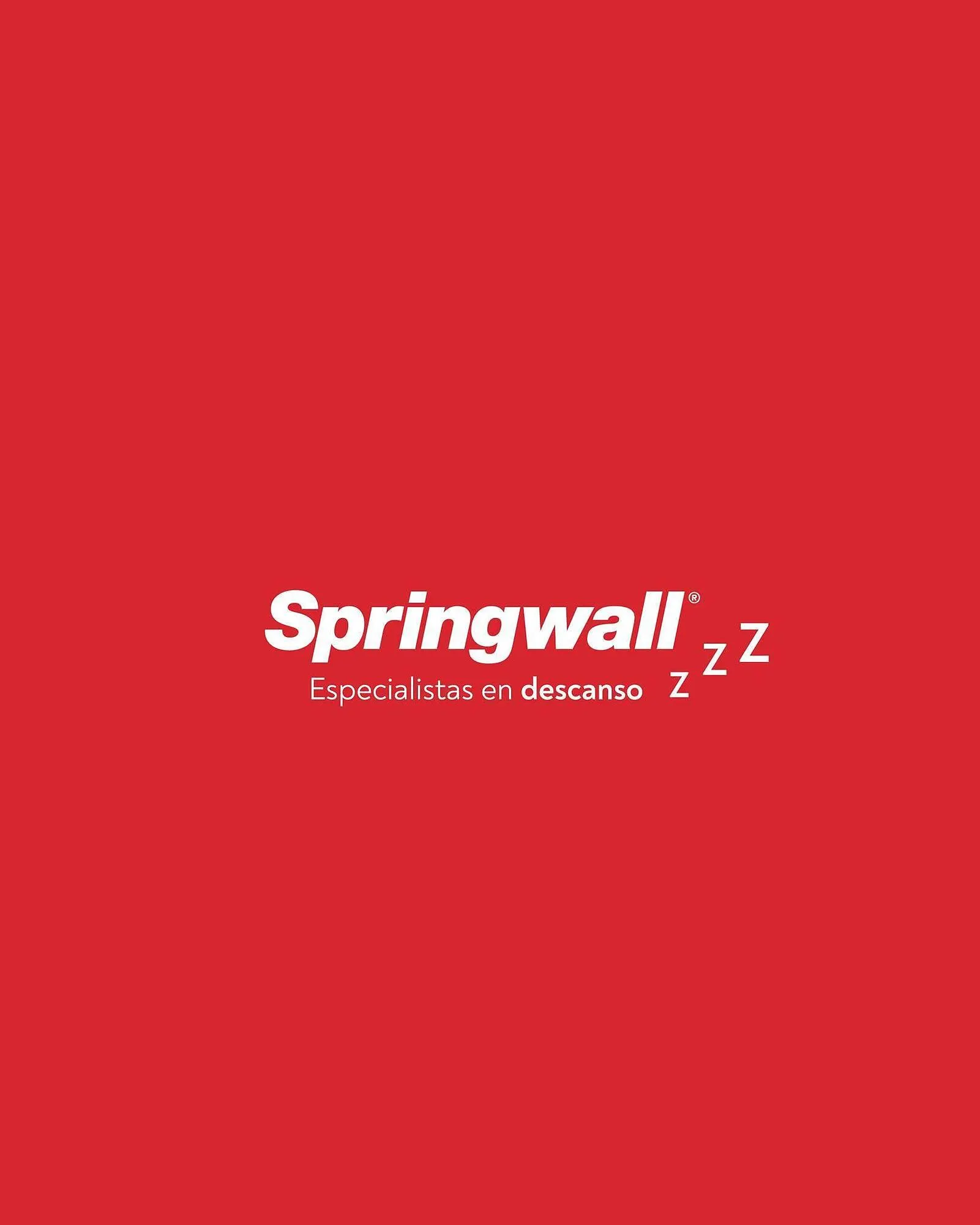 Ofertas de Catálogo Springwall 30 de mayo al 15 de junio 2025 - Página 4 del catálogo