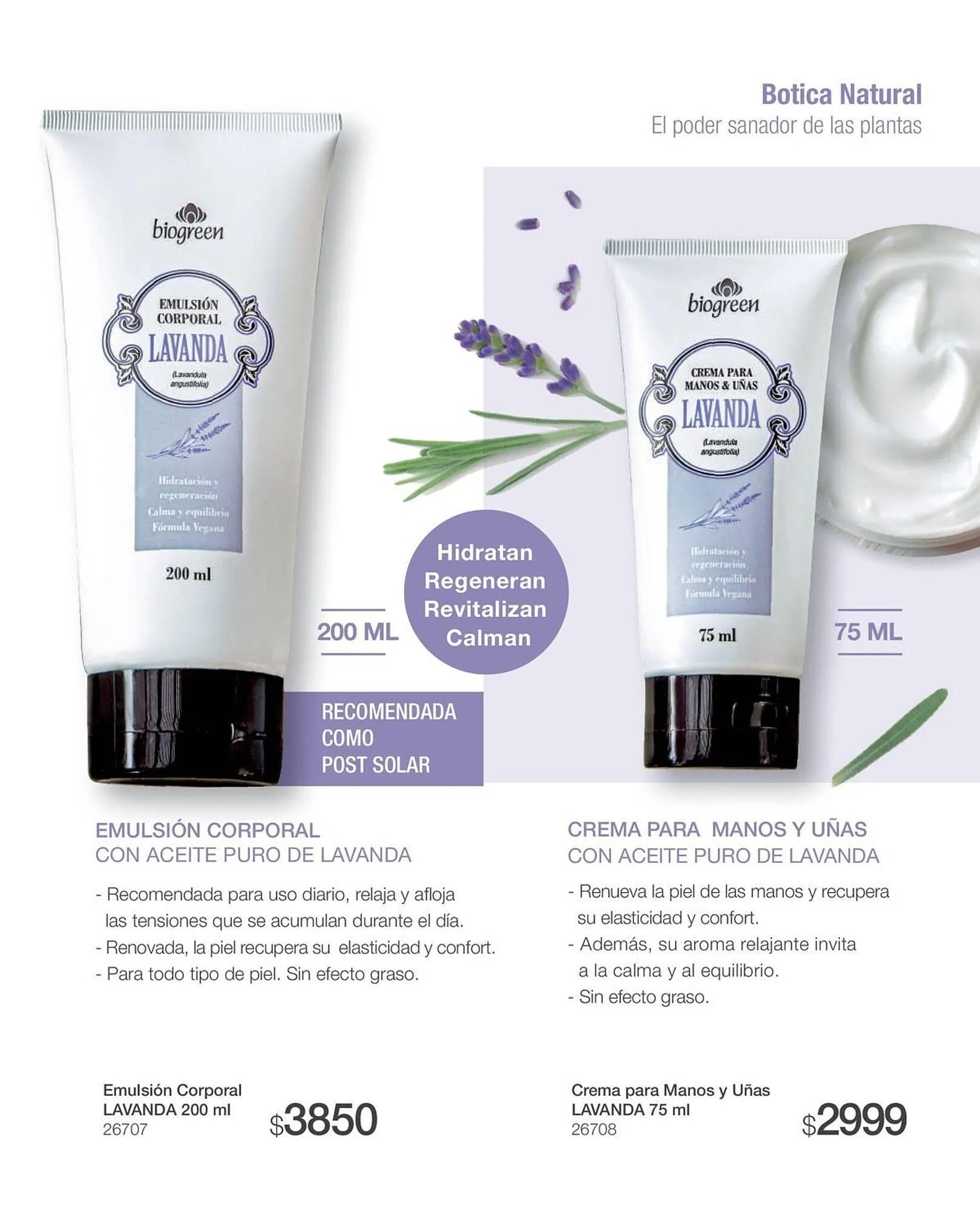 Ofertas de Catálogo Biogreen 20 de octubre al 30 de noviembre 2023 - Página 133 del catálogo