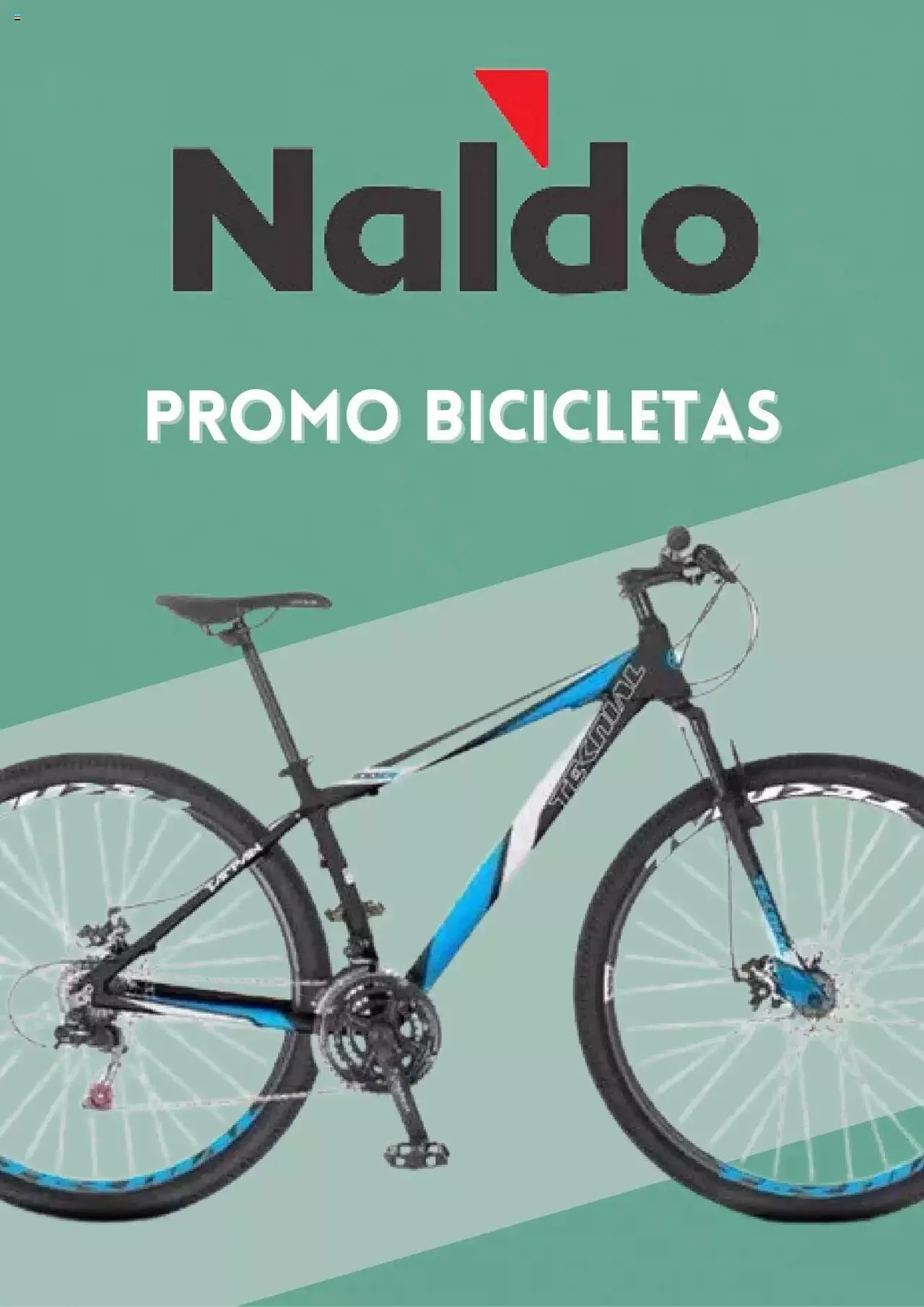 Ofertas de Naldo catálogo 20 de octubre al 31 de diciembre 2023 - Página 1 del catálogo
