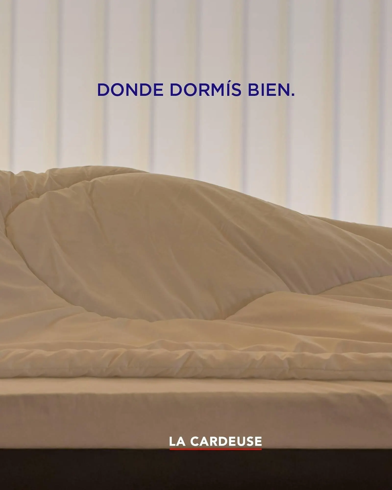 Ofertas de Catálogo La Cardeuse 23 de junio al 30 de junio 2025 - Página 2 del catálogo