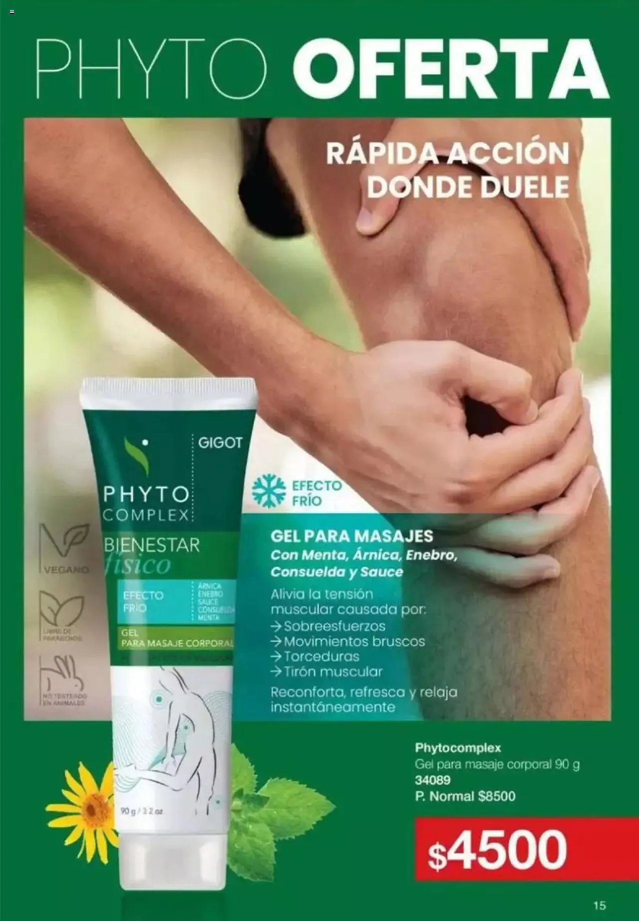 Ofertas de Gigot catálogo 2 de abril al 31 de diciembre 2024 - Página 15 del catálogo