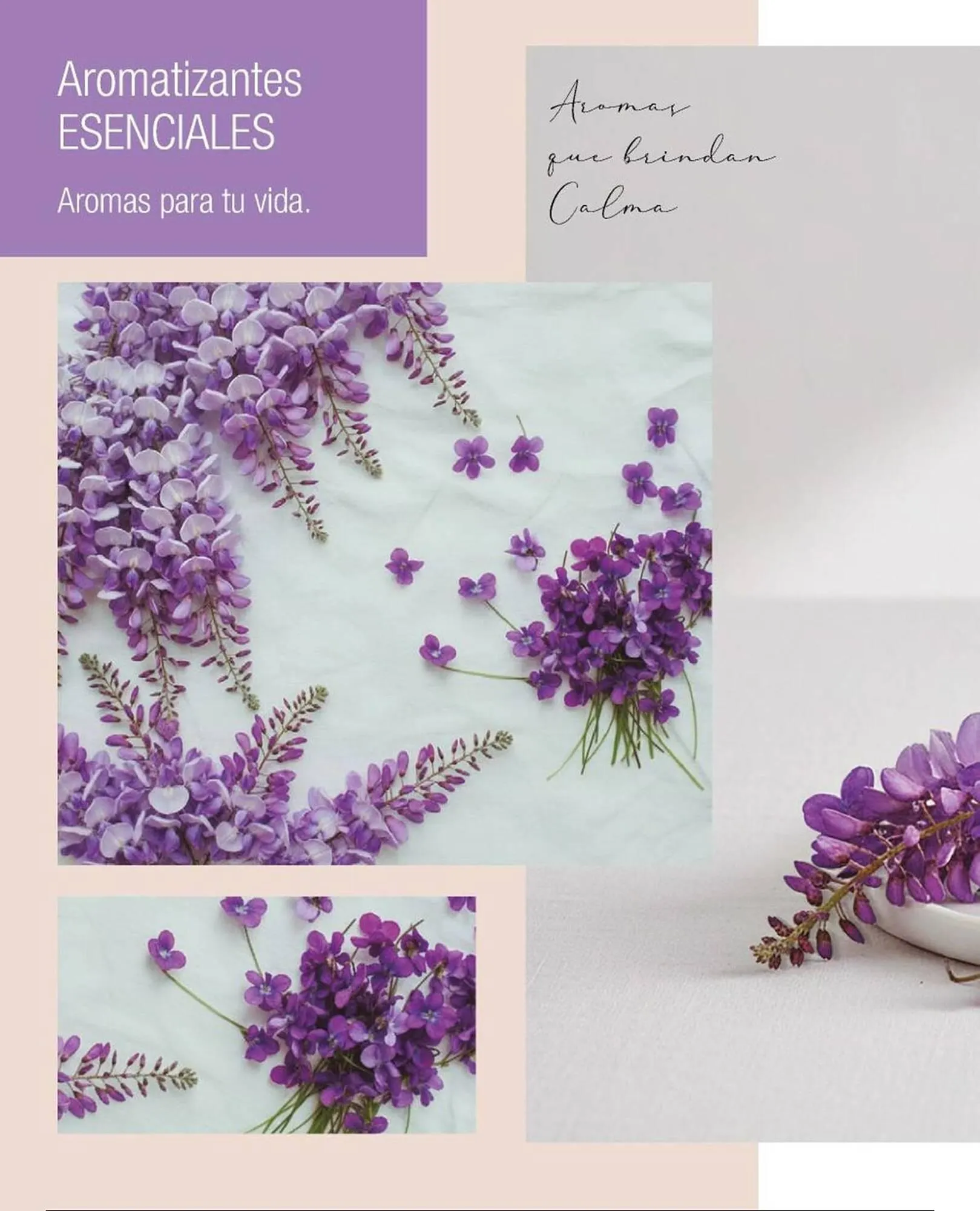 Ofertas de Catálogo Biogreen 16 de febrero al 1 de marzo 2026 - Página 4 del catálogo