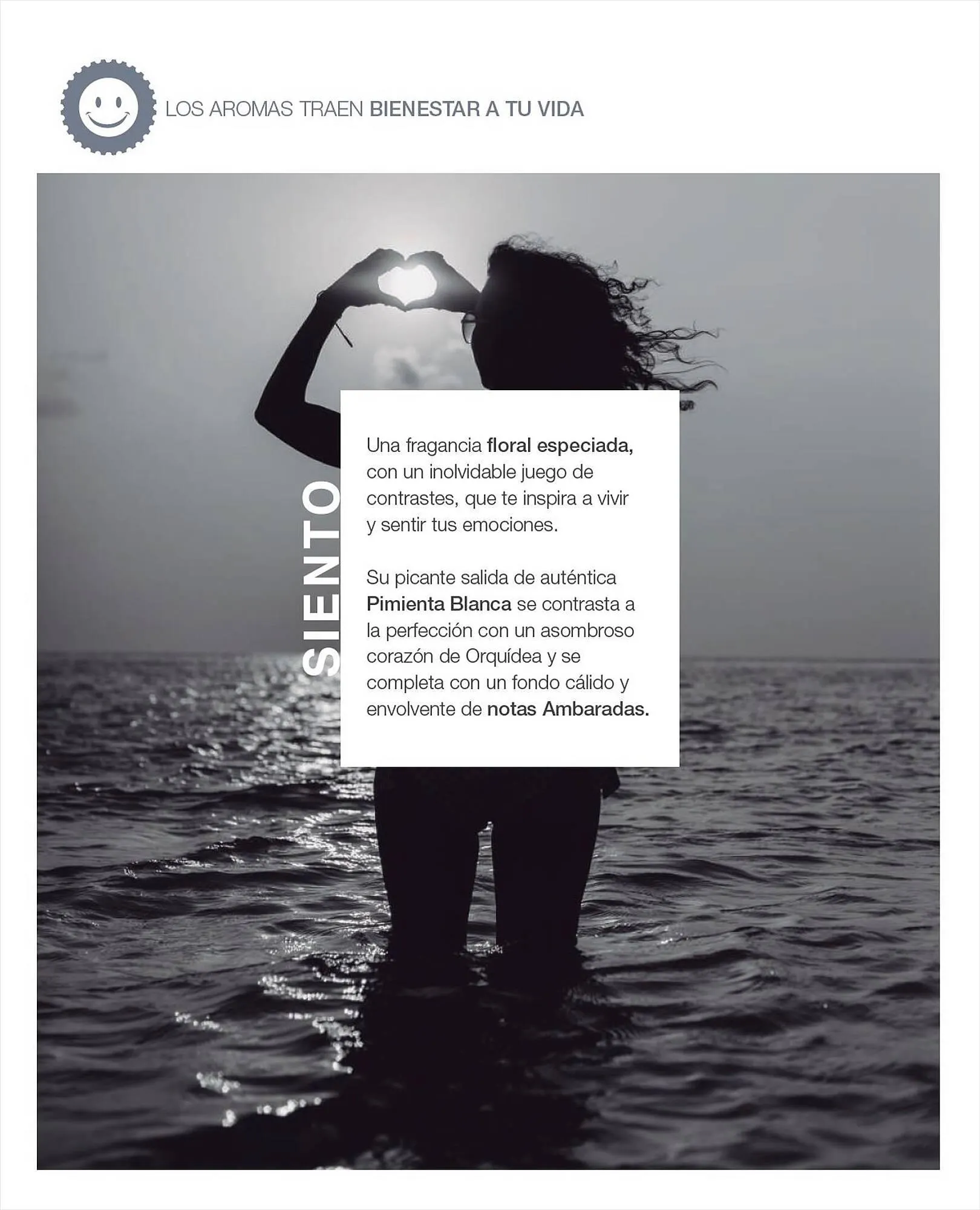 Ofertas de Catálogo Biogreen 27 de julio al 30 de julio 2023 - Página 96 del catálogo