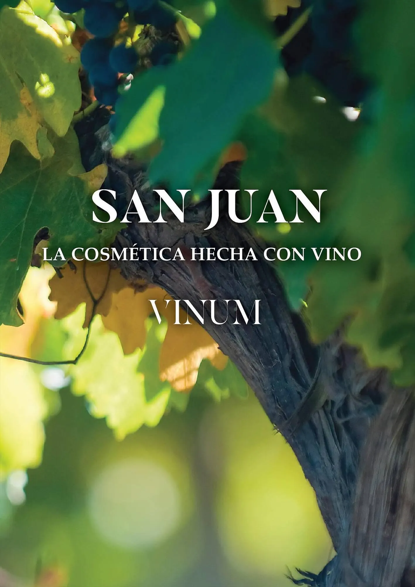 Ofertas de Catálogo Reino Cosmética 28 de julio al 31 de julio 2023 - Página 35 del catálogo