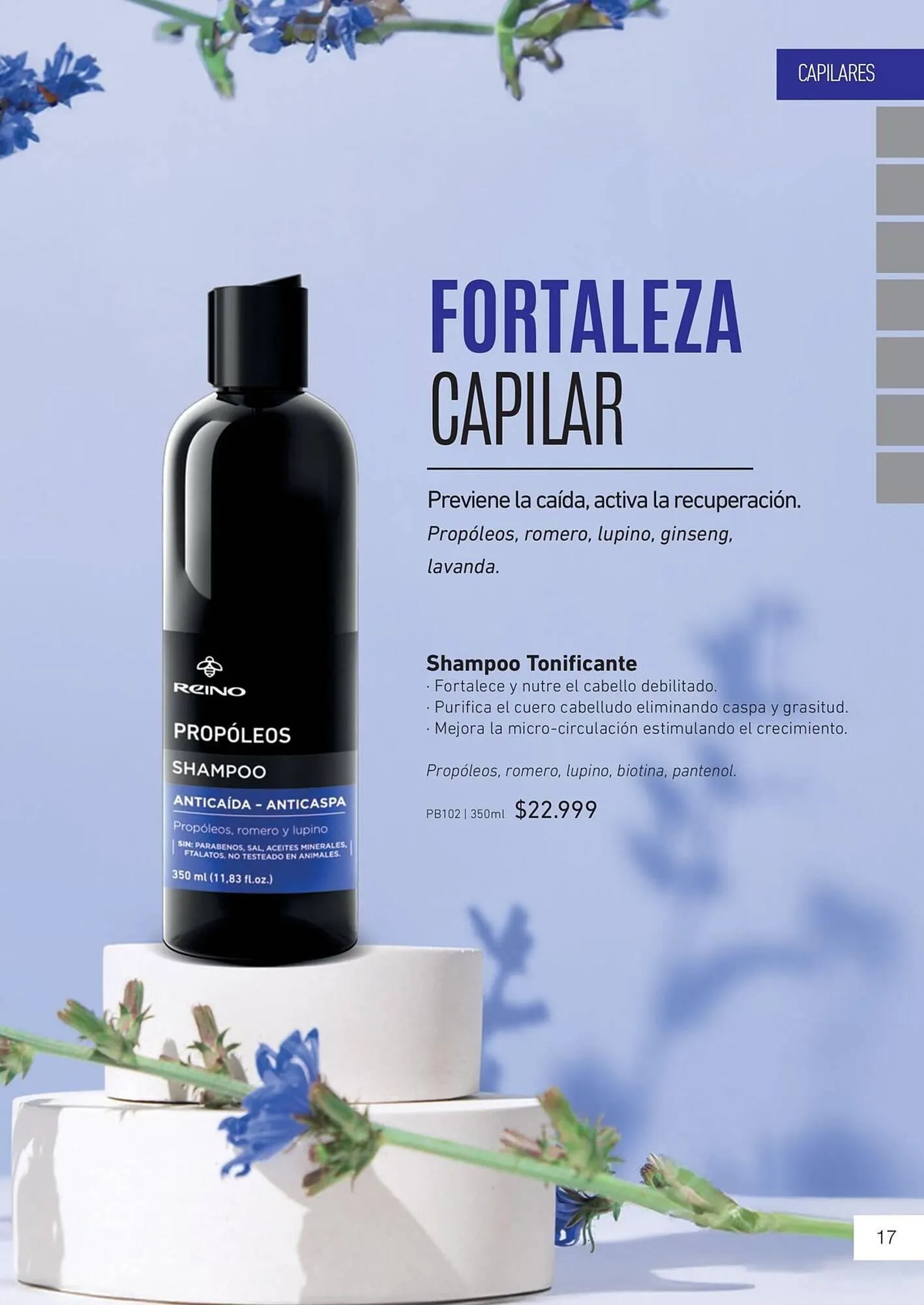 Ofertas de Catálogo Reino Cosmética 8 de mayo al 31 de mayo 2025 - Página 19 del catálogo