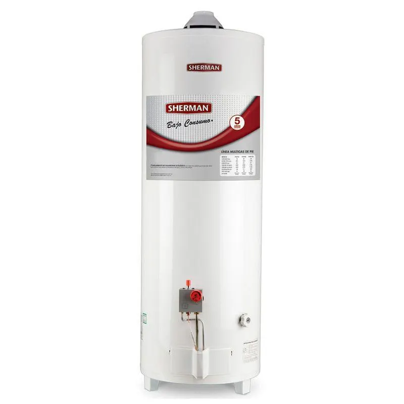 Termotanque a Gas 80 Lt. De pie TPG080