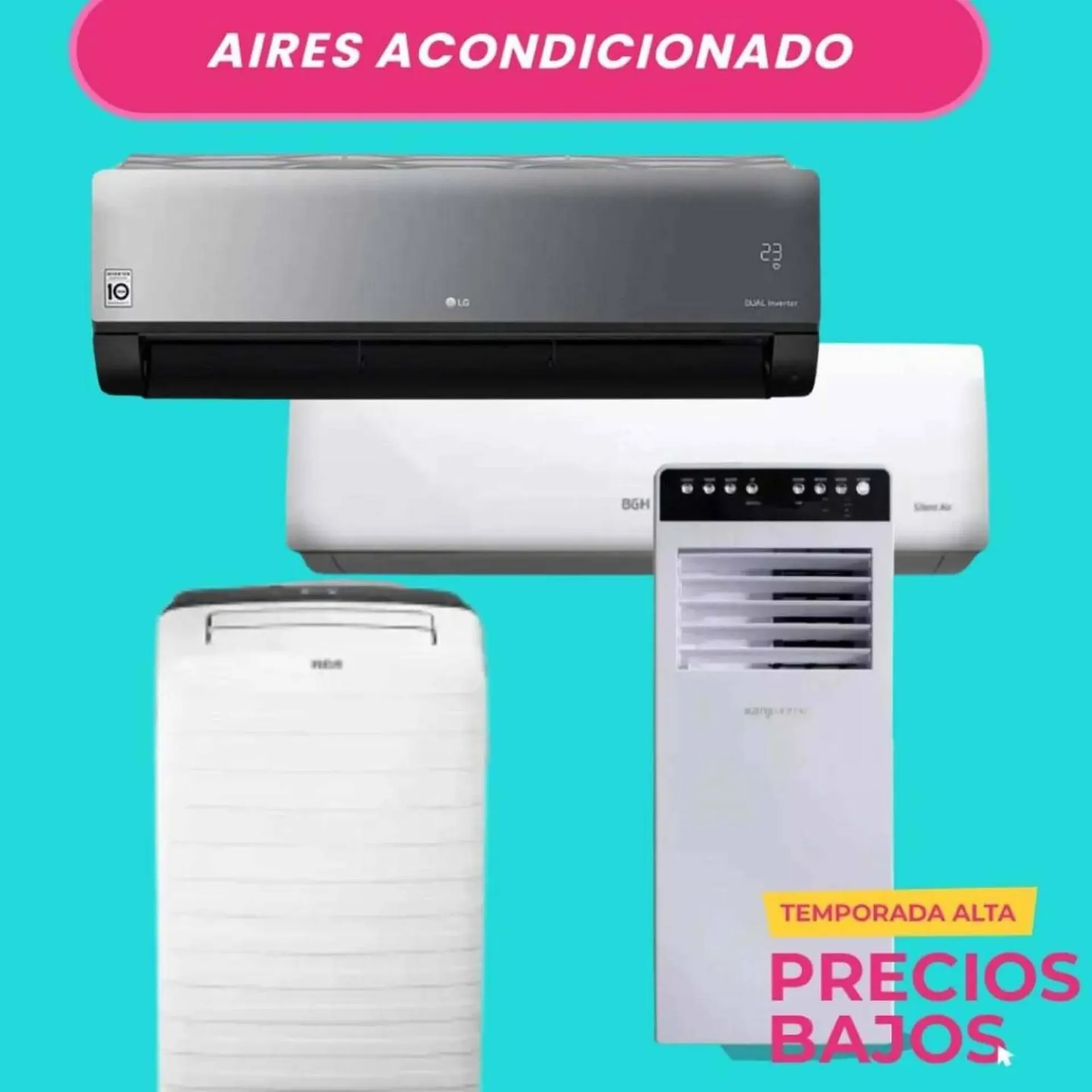 Ofertas de Catálogo Tio Musa 2 de febrero al 15 de febrero 2025 - Página 3 del catálogo