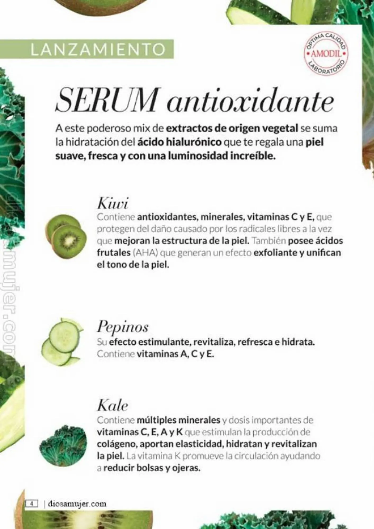 Ofertas de Catálogo Amodil 6 de septiembre al 10 de octubre 2023 - Página 4 del catálogo