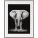 Cuadro Elefante 40 x 50 cm