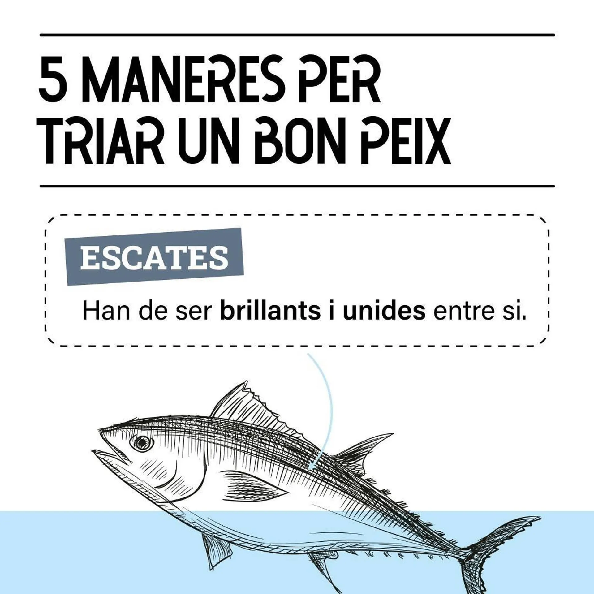 Ofertas de Catálogo Bonpreu 24 de octubre al 31 de octubre 2024 - Página 3 del catálogo