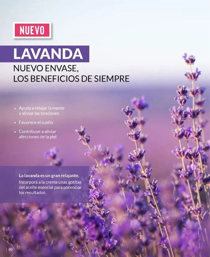 Ofertas de Ofertas Bagués Campaña 10 Argentina 22 de septiembre al 6 de octubre 2024 - Página 93 del catálogo