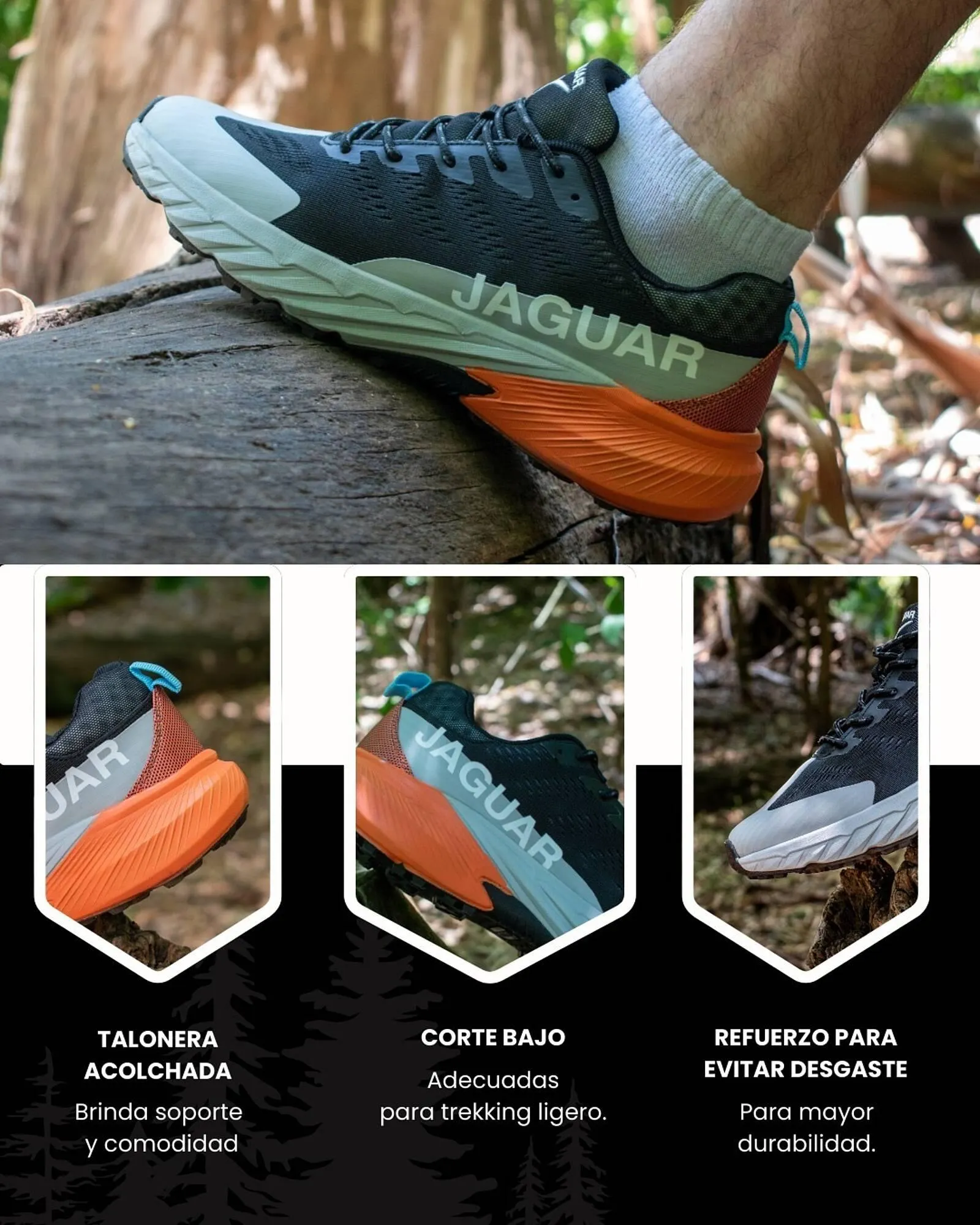 Ofertas de Catálogo Jaguar Shoes 9 de enero al 31 de enero 2026 - Página 1 del catálogo