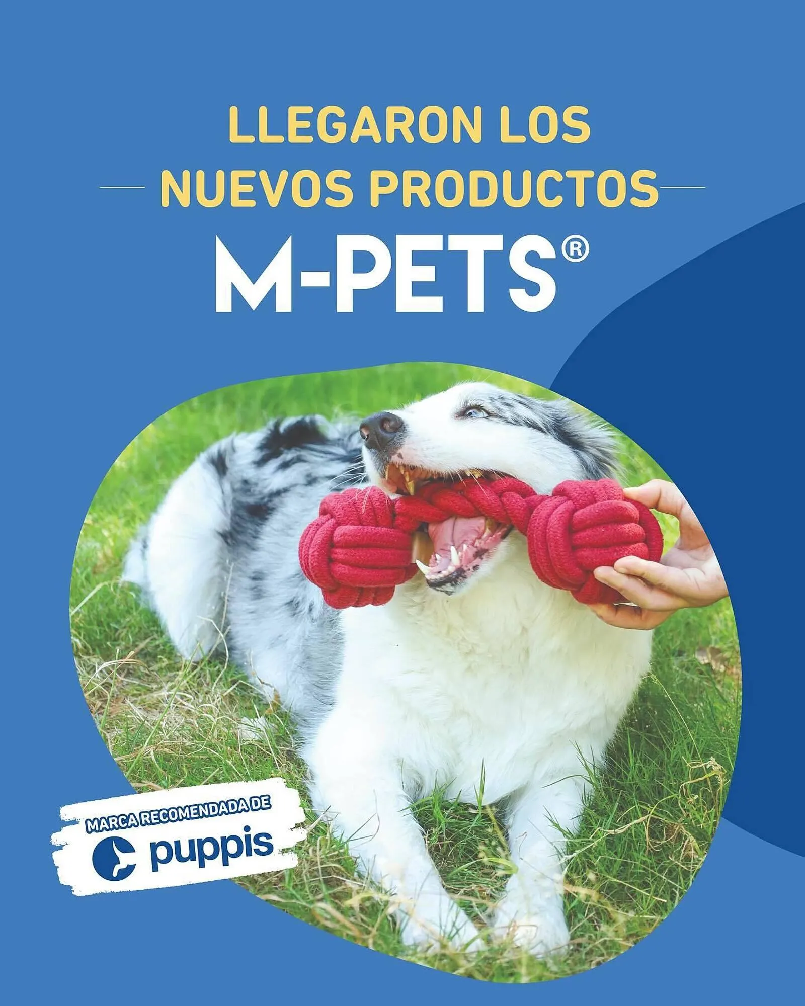 Ofertas de Catálogo Puppis 1 de octubre al 15 de octubre 2025 - Página 1 del catálogo