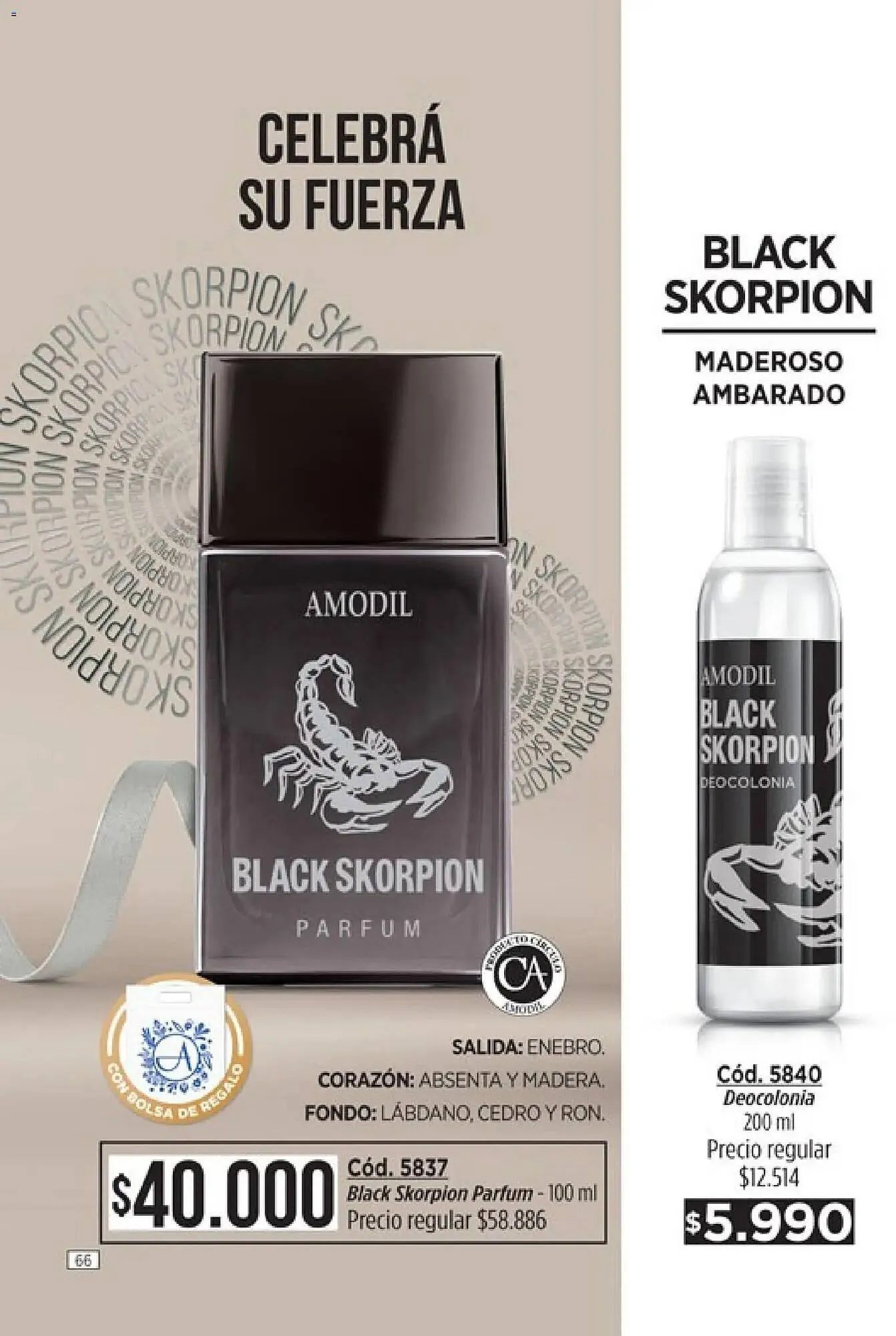 Ofertas de Catálogo Amodil 30 de noviembre al 31 de diciembre 2025 - Página 66 del catálogo