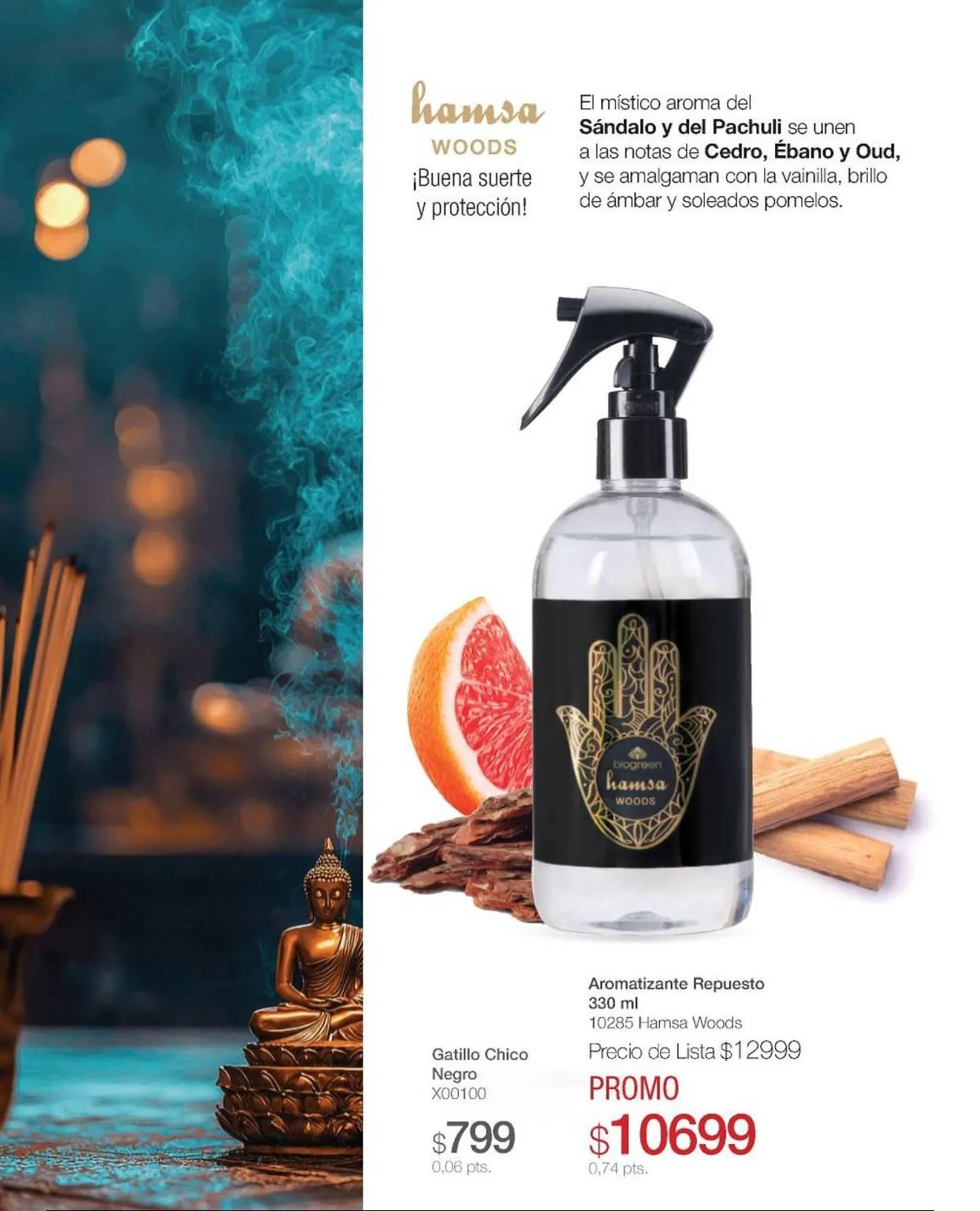 Ofertas de Catálogo Biogreen 15 de mayo al 31 de mayo 2025 - Página 16 del catálogo