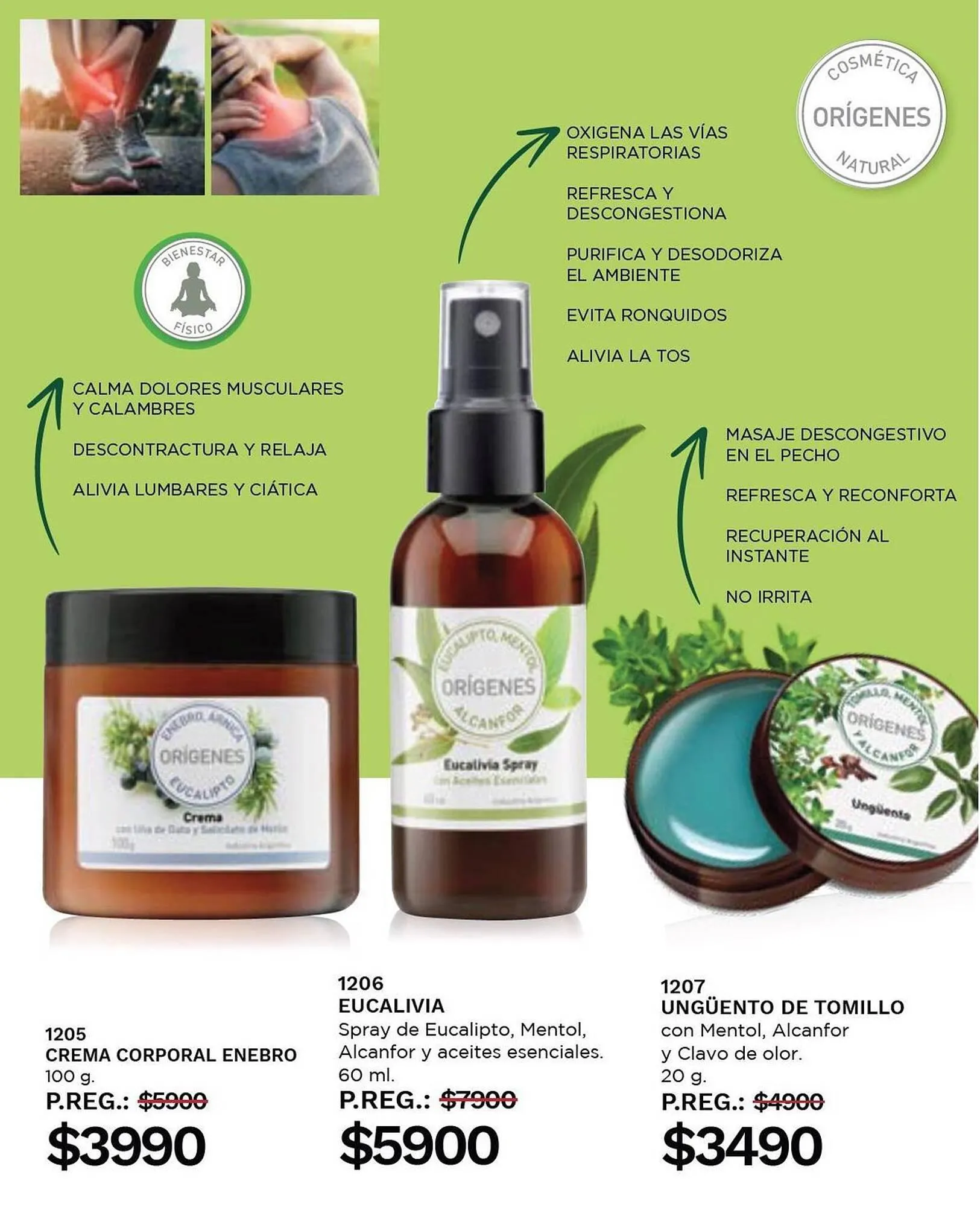 Ofertas de Catálogo Arbell 10 de noviembre al 4 de diciembre 2023 - Página 32 del catálogo