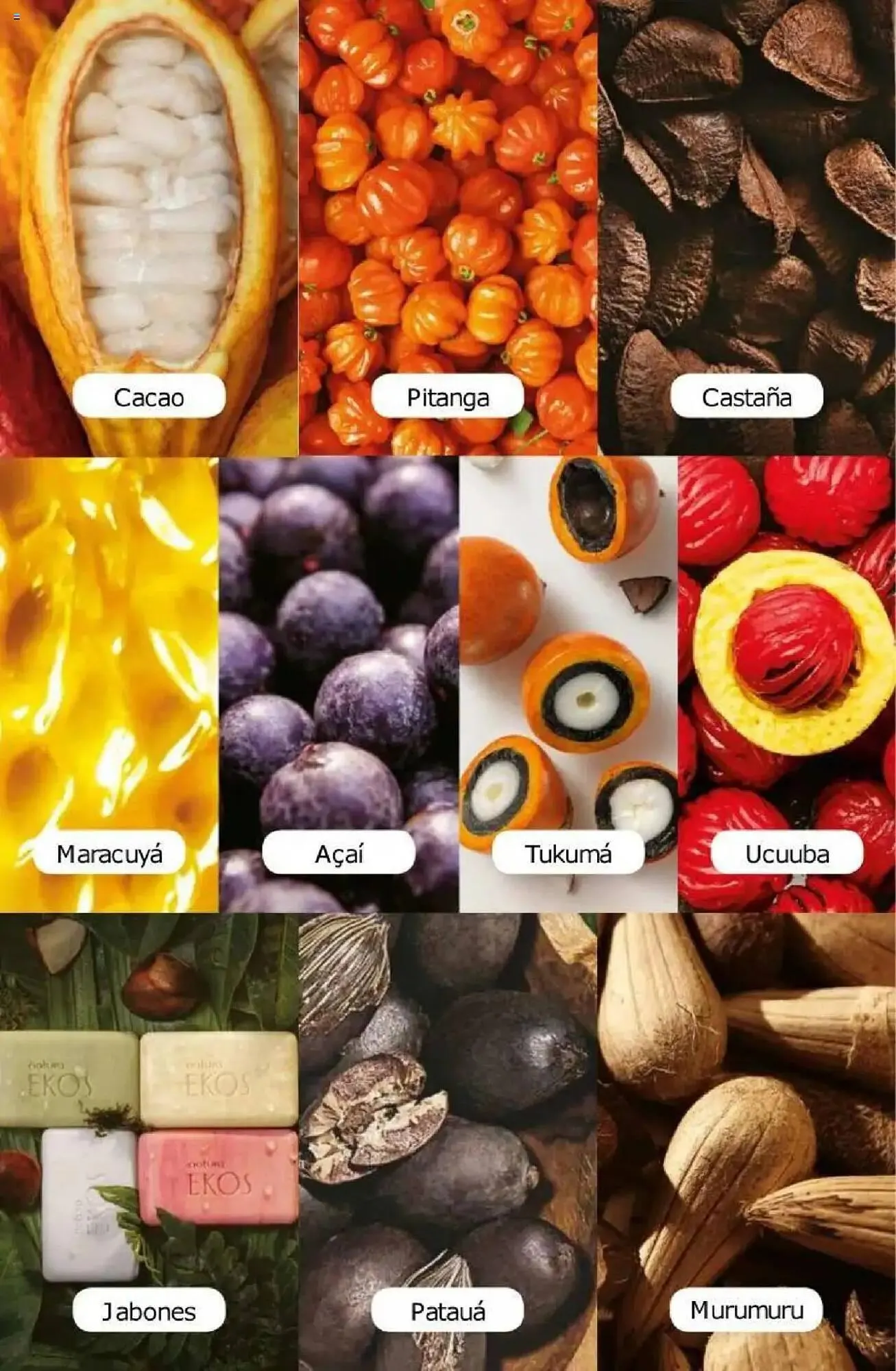 Ofertas de Catálogo Natura 11 de agosto al 25 de agosto 2025 - Página 177 del catálogo