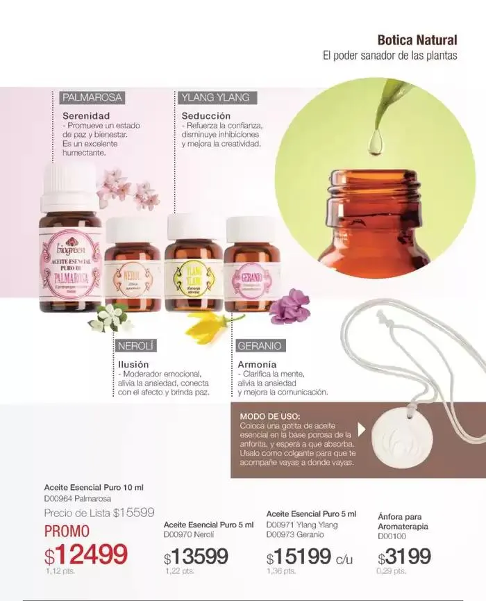 Ofertas de Catálogo de Biogreen 2 de octubre al 31 de octubre 2024 - Página 43 del catálogo