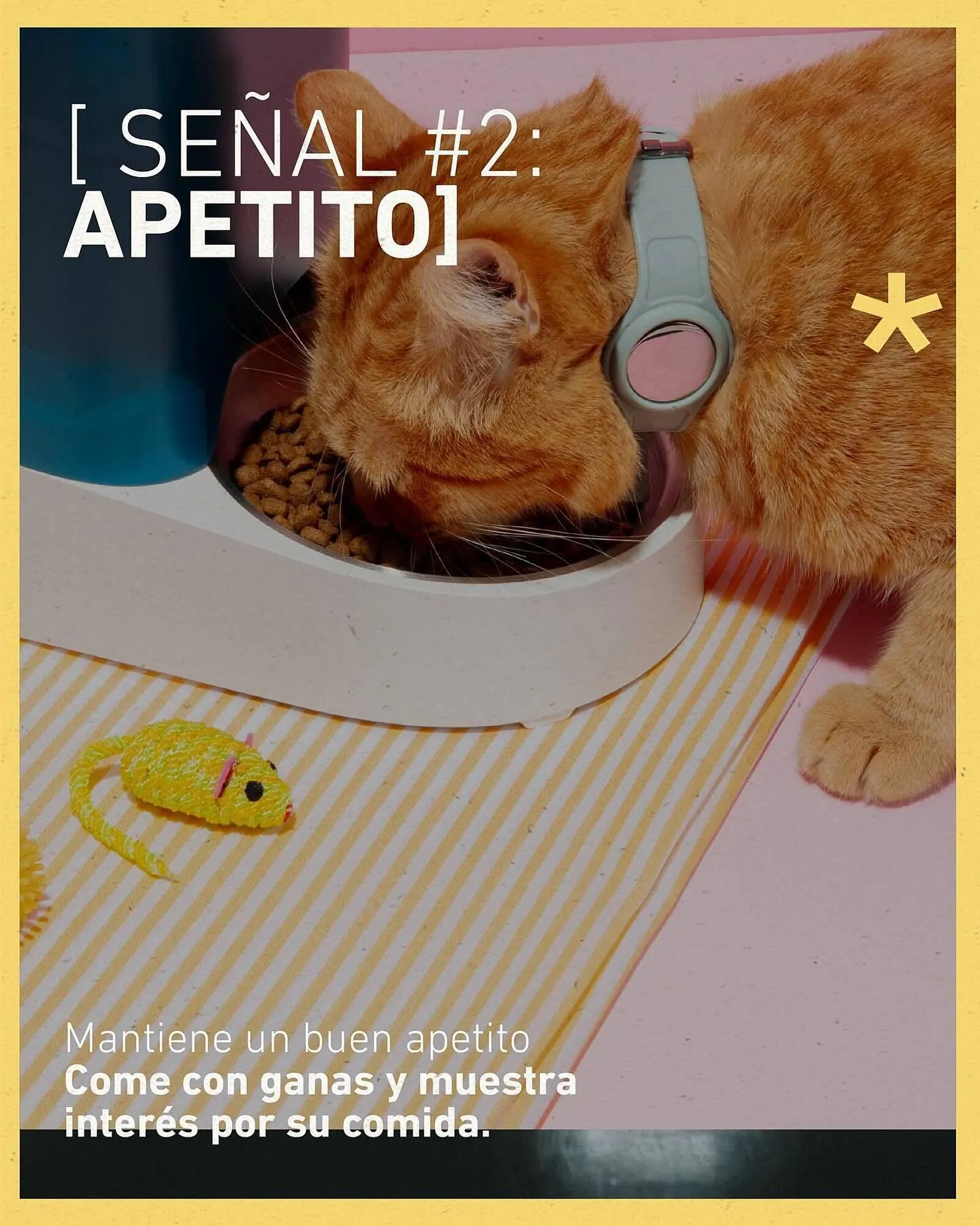 Ofertas de Catálogo Puppis 24 de junio al 30 de junio 2025 - Página 3 del catálogo