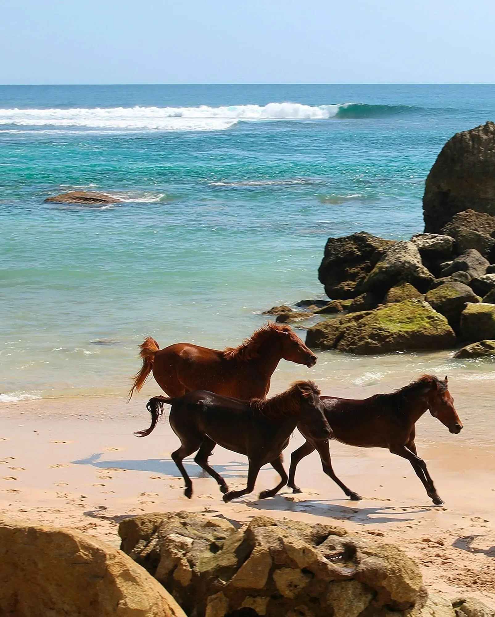 Catálogo La Martina - 1