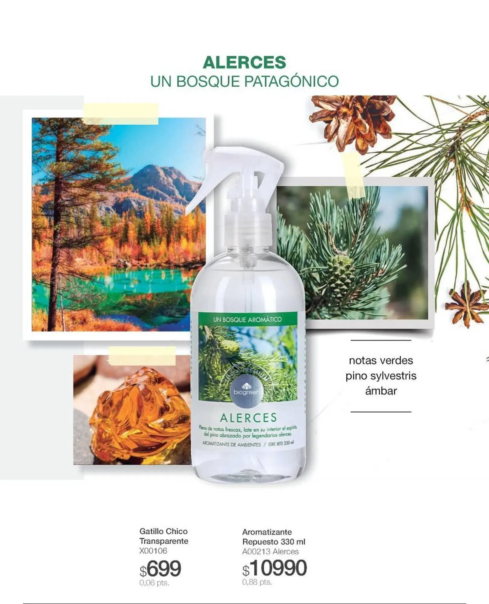 Ofertas de Catálogo Biogreen 10 de marzo al 16 de marzo 2025 - Página 10 del catálogo