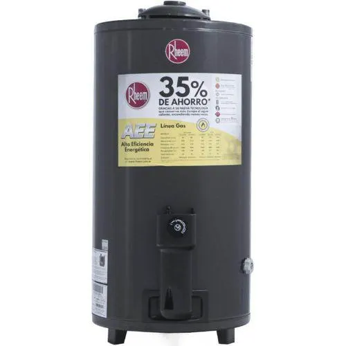 Termotanque A Gas Rheem De 80 Lts