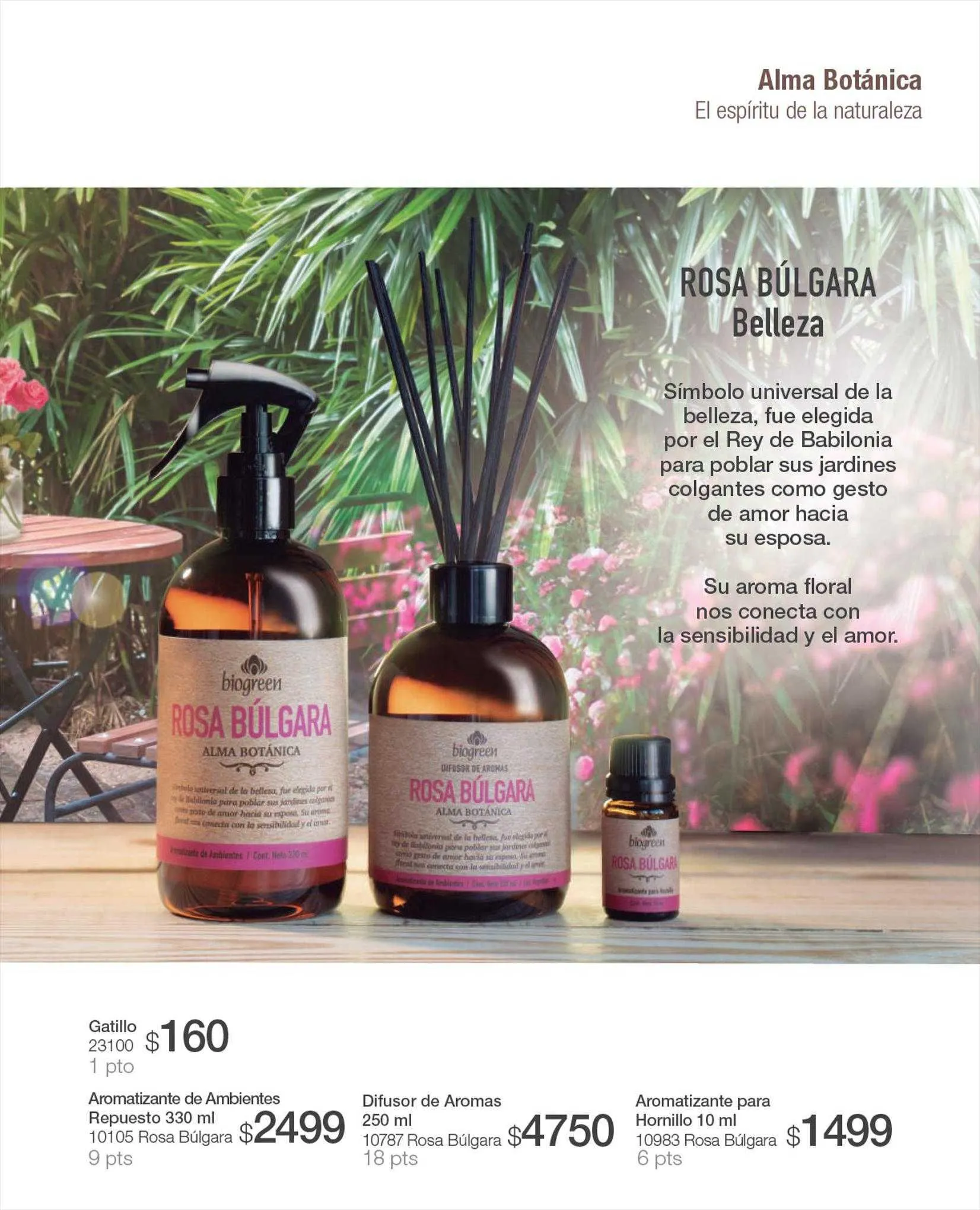 Ofertas de Catálogo Biogreen 17 de agosto al 31 de agosto 2023 - Página 39 del catálogo