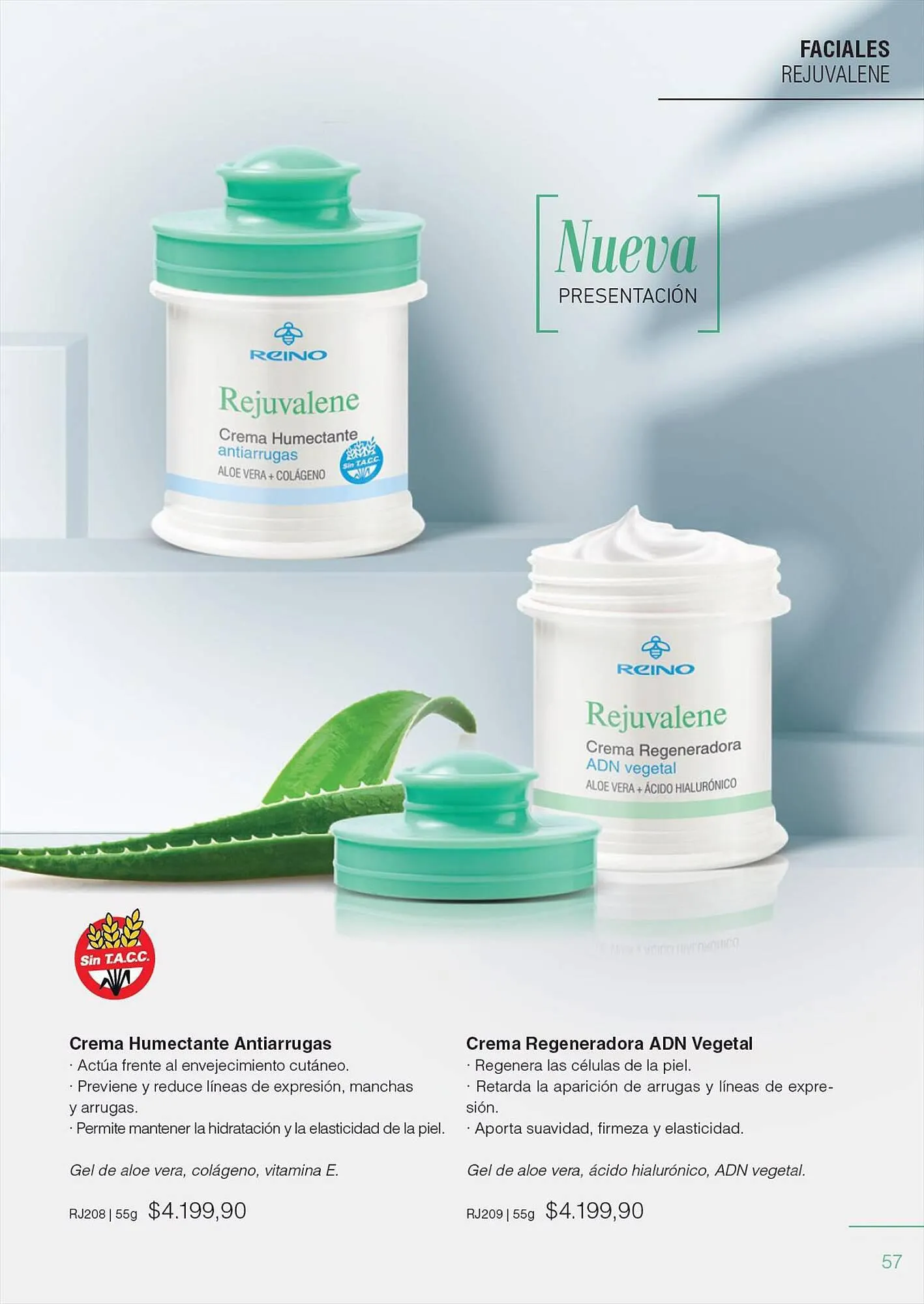 Ofertas de Catálogo Reino Cosmética 28 de julio al 31 de julio 2023 - Página 59 del catálogo