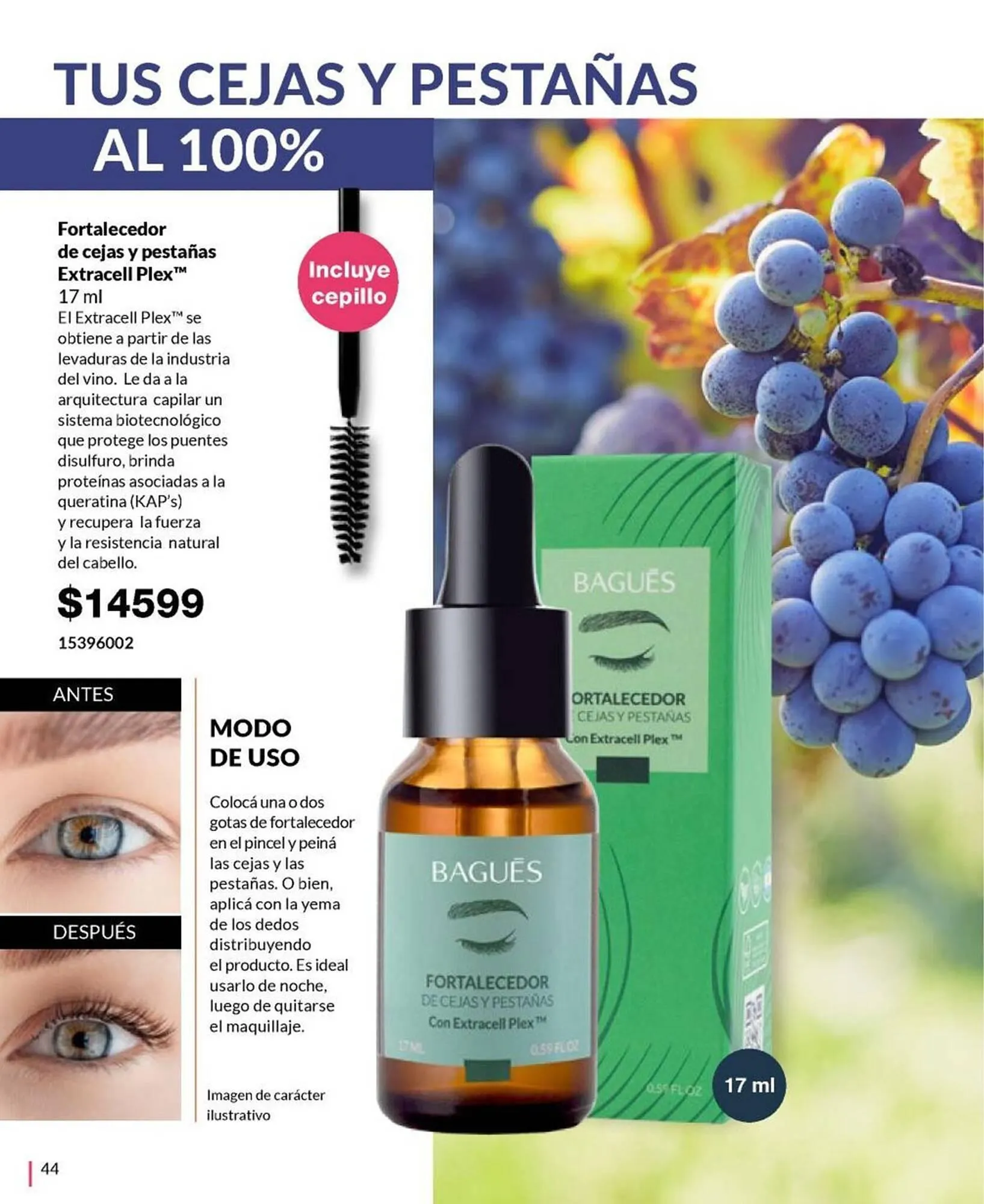 Ofertas de Catálogo Bagués 20 de octubre al 3 de noviembre 2024 - Página 58 del catálogo