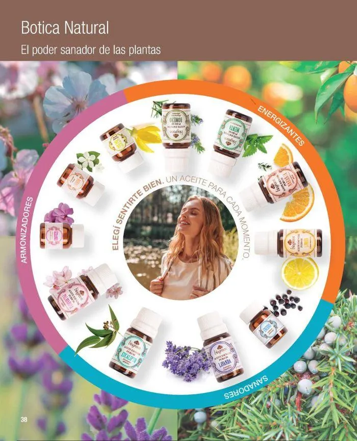 Ofertas de Catálogo de productos Biogreen! 27 de agosto al 11 de septiembre 2024 - Página 40 del catálogo