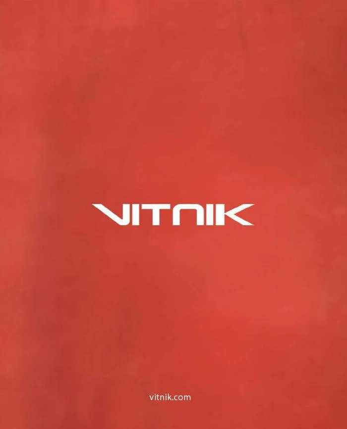 Ofertas de Vitnik Catálogo Hombre C06 5 de junio al 1 de julio 2024 - Página 73 del catálogo